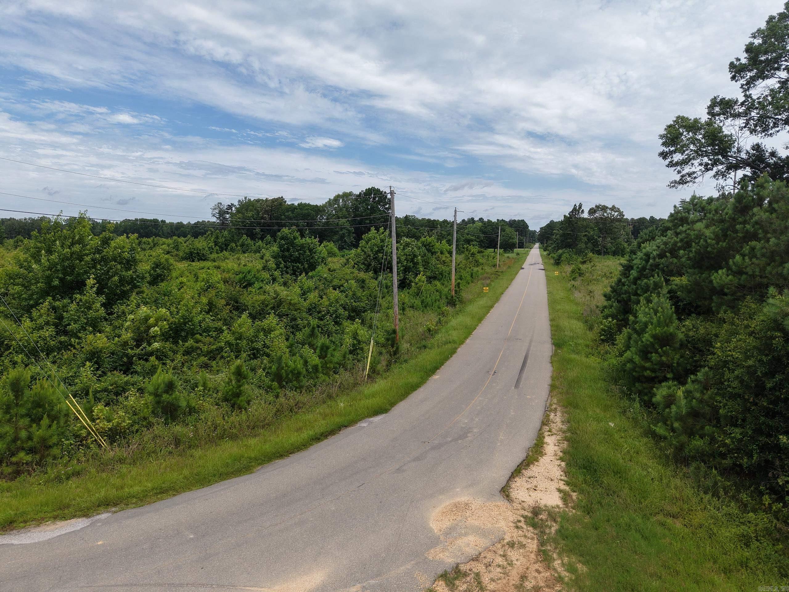 Located approximately 10 miles northeast of Hamburg off County Road 76, this versatile property offers blacktop frontage on two sides, outstanding access, and excellent homesite and development potential. Utilities are available, making it ready for your dream home or future improvements.  The property consists of approximately 10-year-old natural pine regeneration, offering flexibility for a homesite, pasture, timber investment, or possible subdivision into multiple homesites.  Abundant deer, turkey, hogs, and small game make the property ideal for hunting and wildlife viewing. The combination of natural cover, paved road frontage, and convenient location creates an excellent balance of recreation and long-term investment value.  Whether you're looking for a country homesite, recreational tract, or development opportunity, this property offers exceptional versatility in a desirable area near Hamburg.