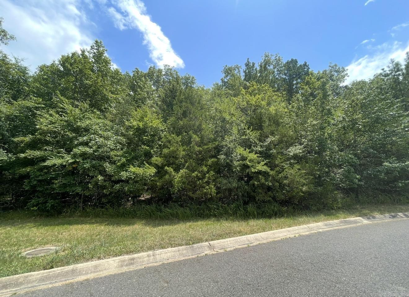 Great lot in The Hills Subdivision. Lot #36. There are three other lots available as well. 37, 17, & 9.