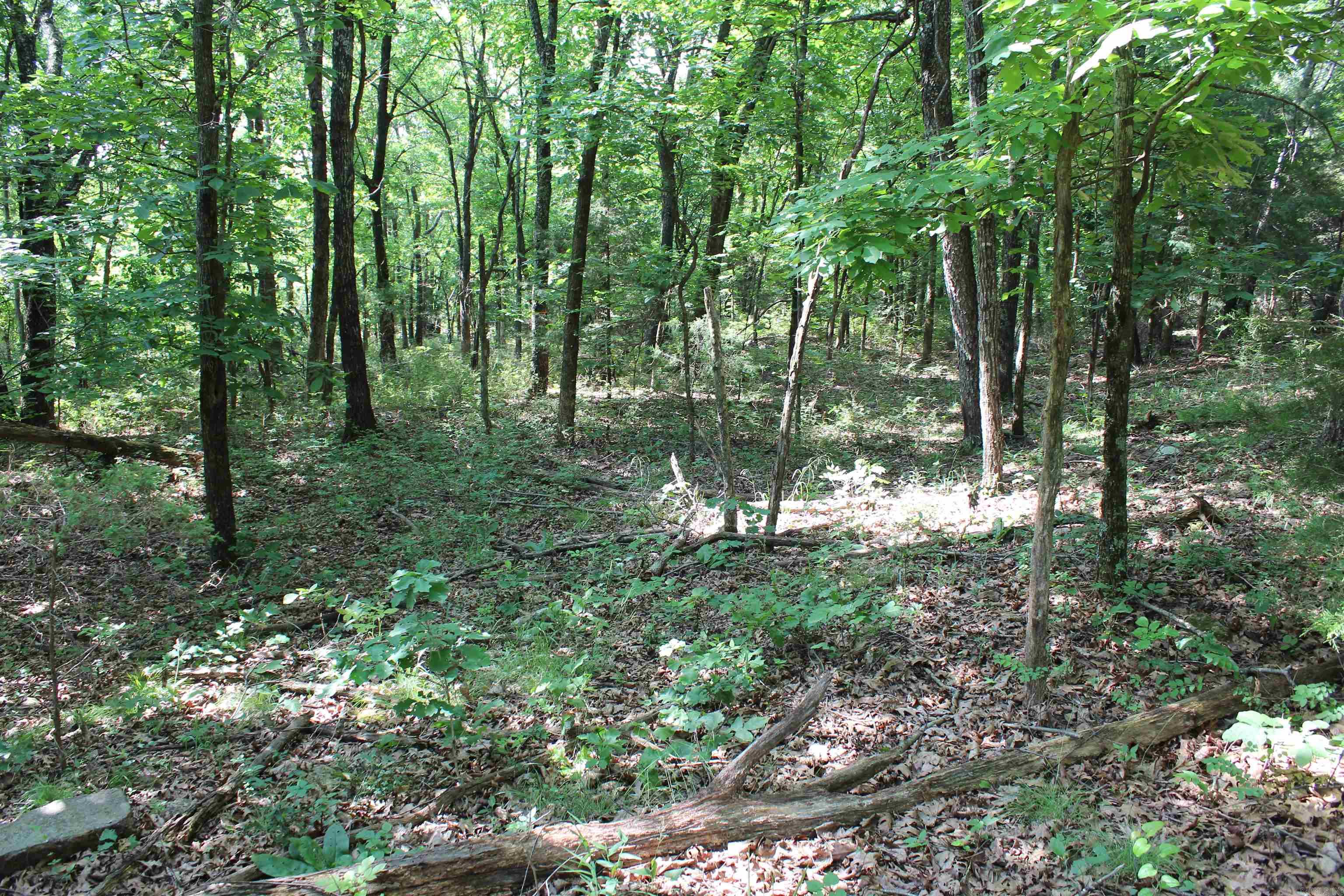 Not in Subdivision - Land