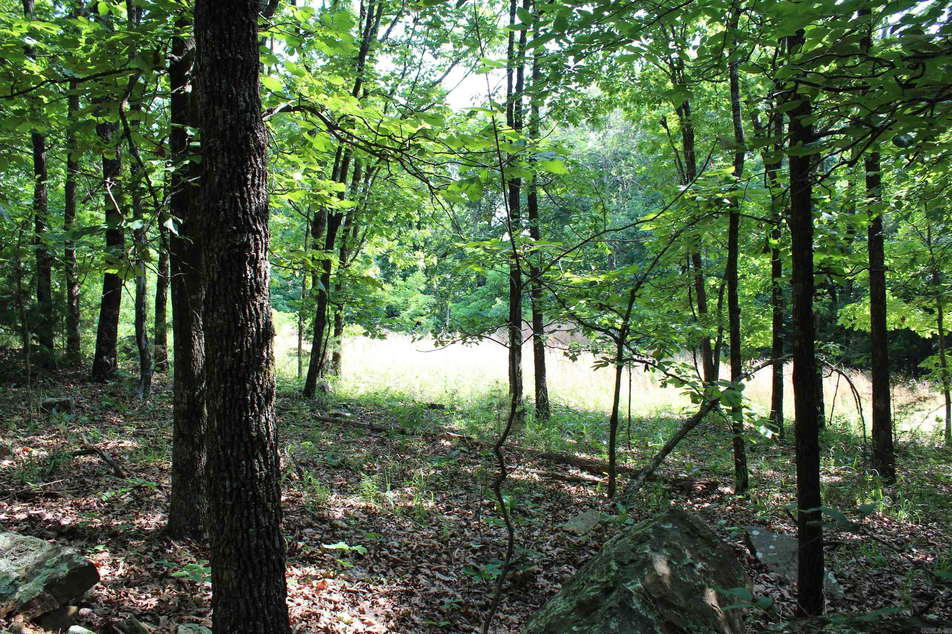 Not in Subdivision - Land