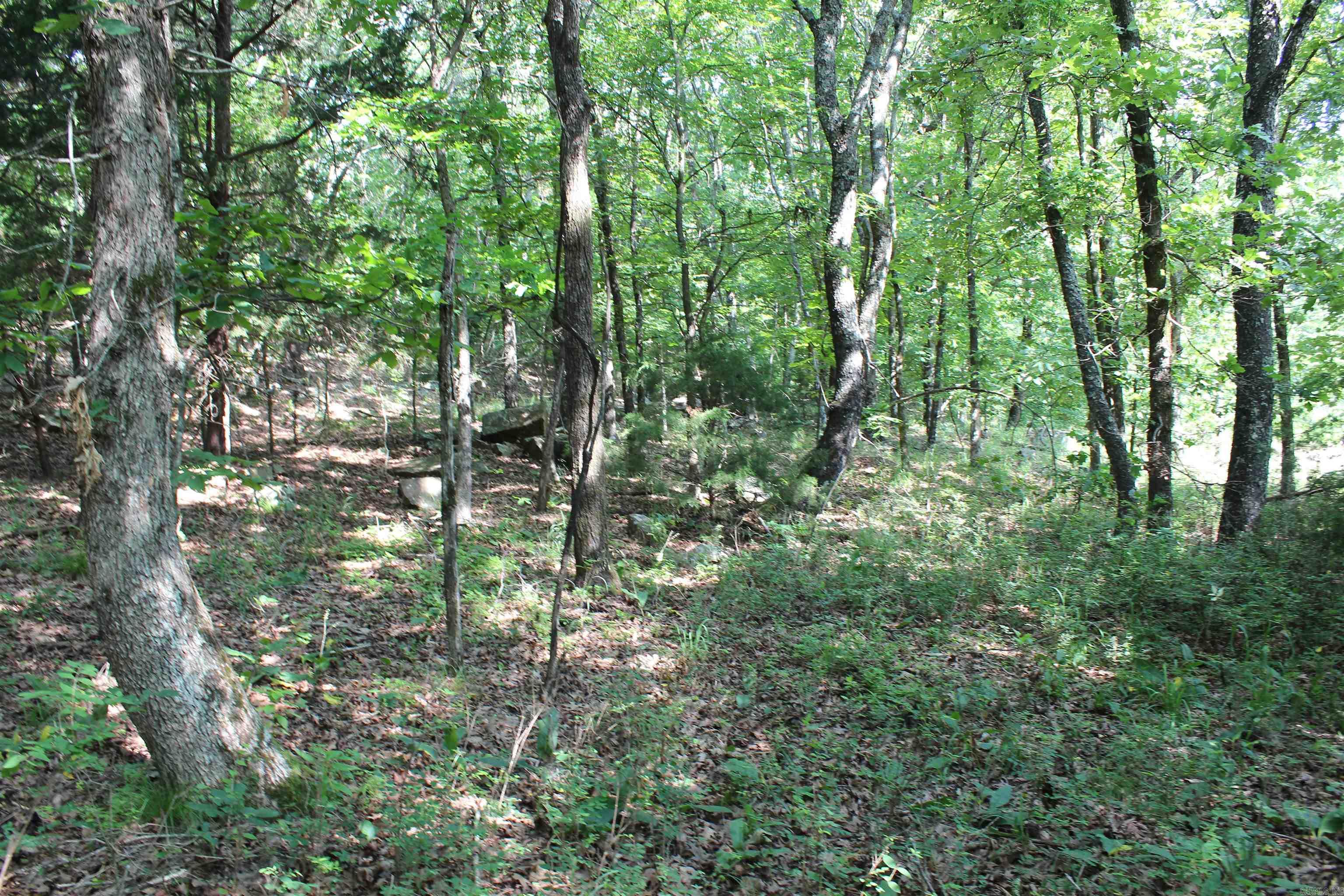 Not in Subdivision - Land