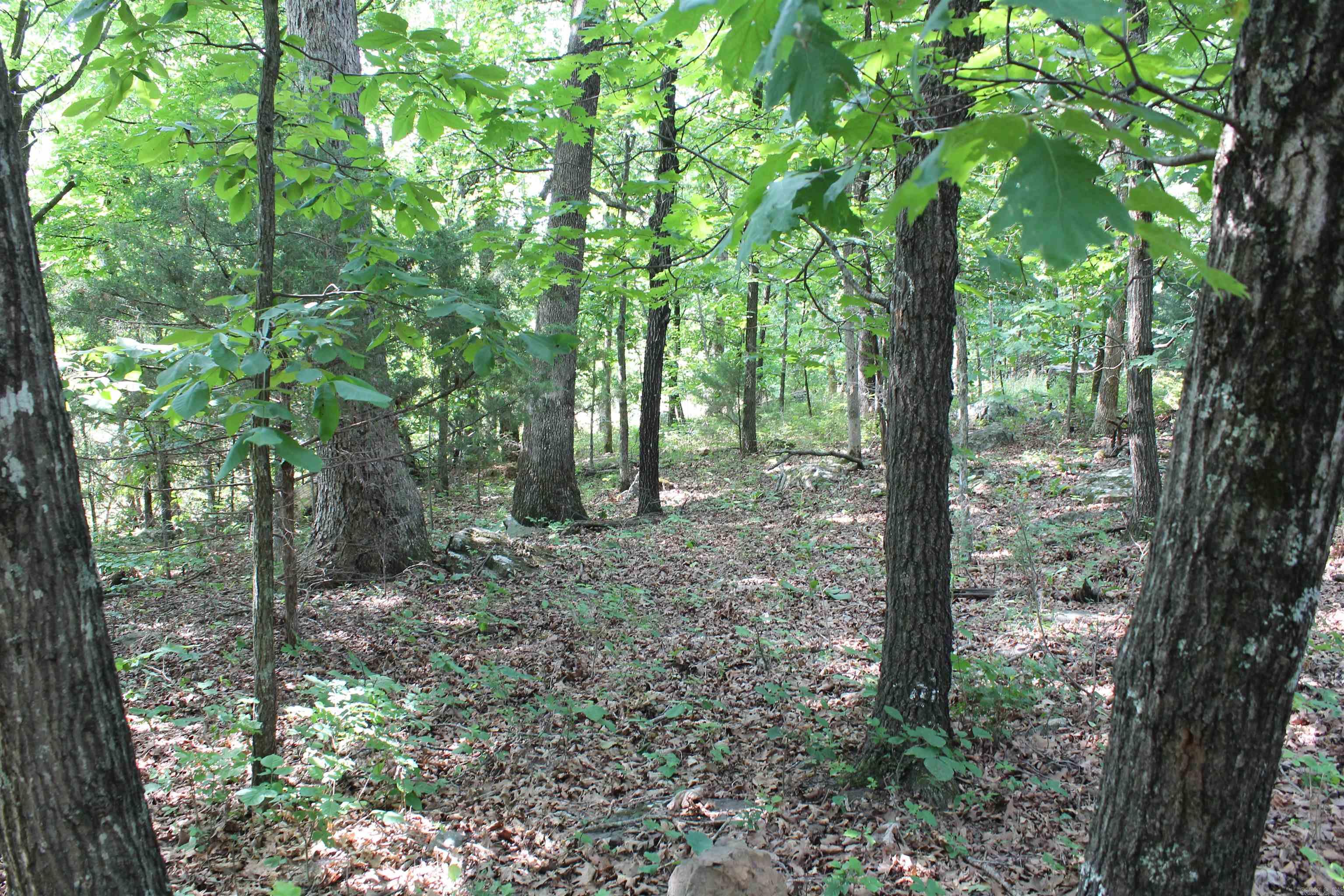 Not in Subdivision - Land