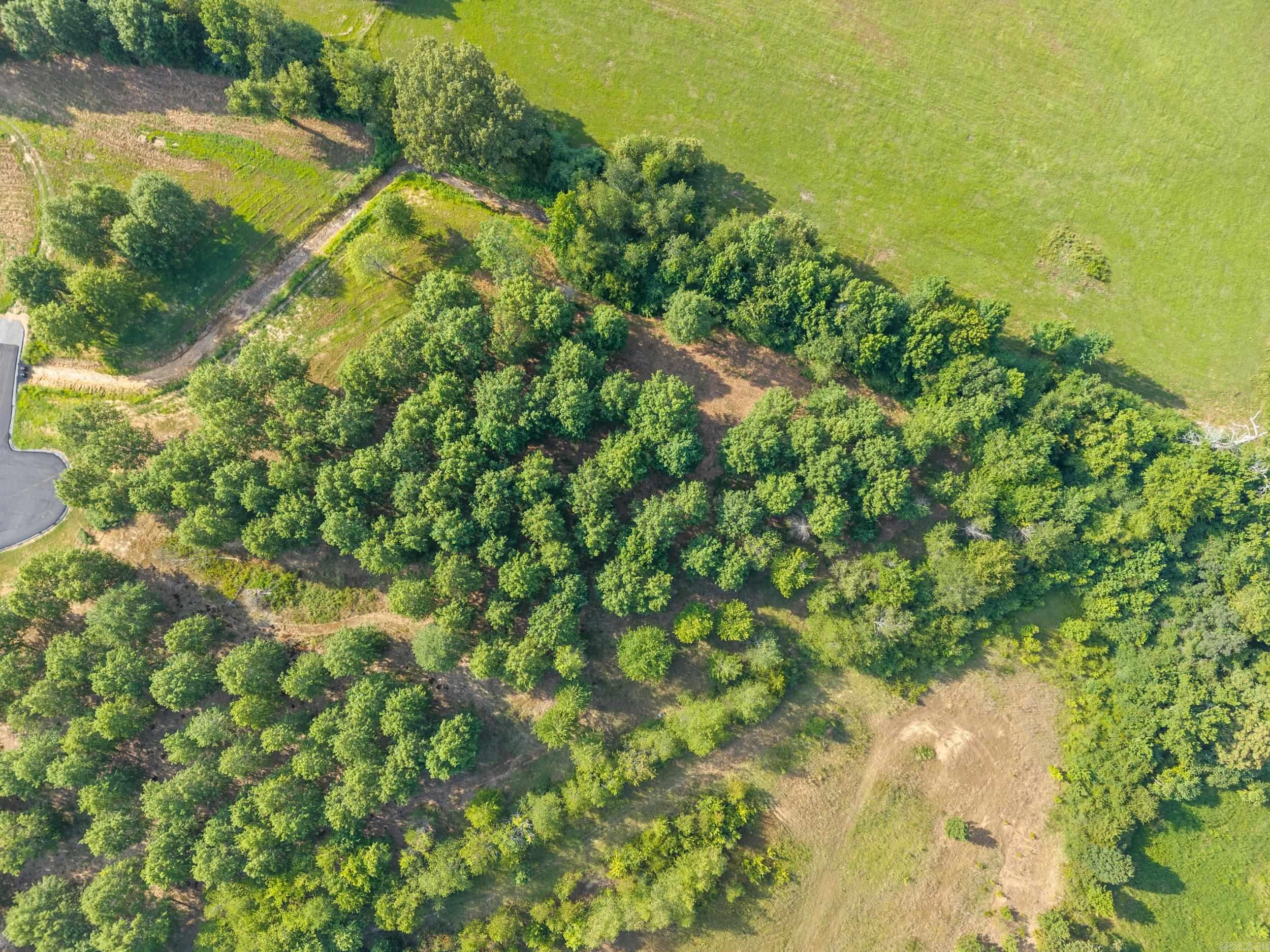 Win Meadow - Land