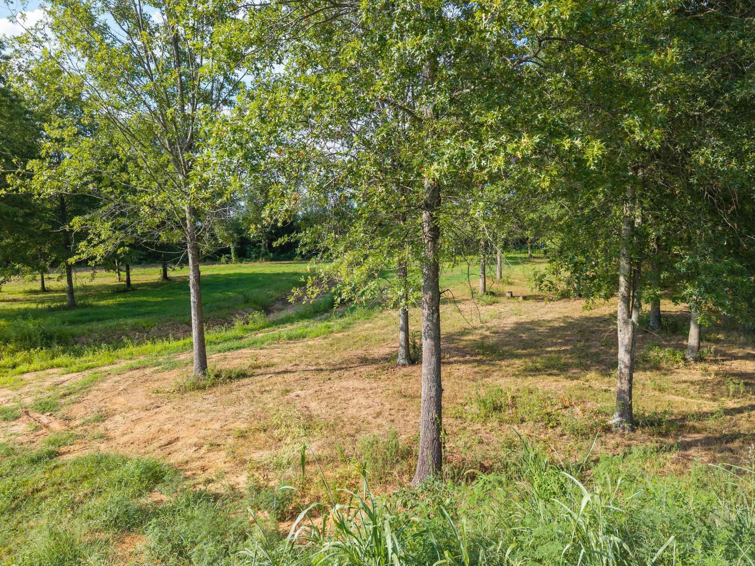 Win Meadow - Land