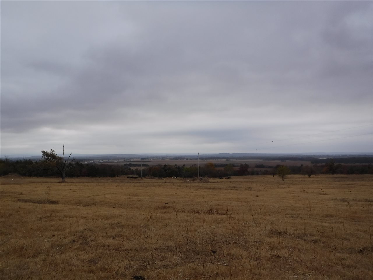 180 acre property of mixed use recreational, ranchland in Charleston, AR 72933 in Franklin County.  Property has great views, Lots of whitetail deer, hog, turkey, and ATV trails. There are several ponds on the property great for livestock and wild life.  Water rights and road frontage off of Sandstone Ridge Rd.