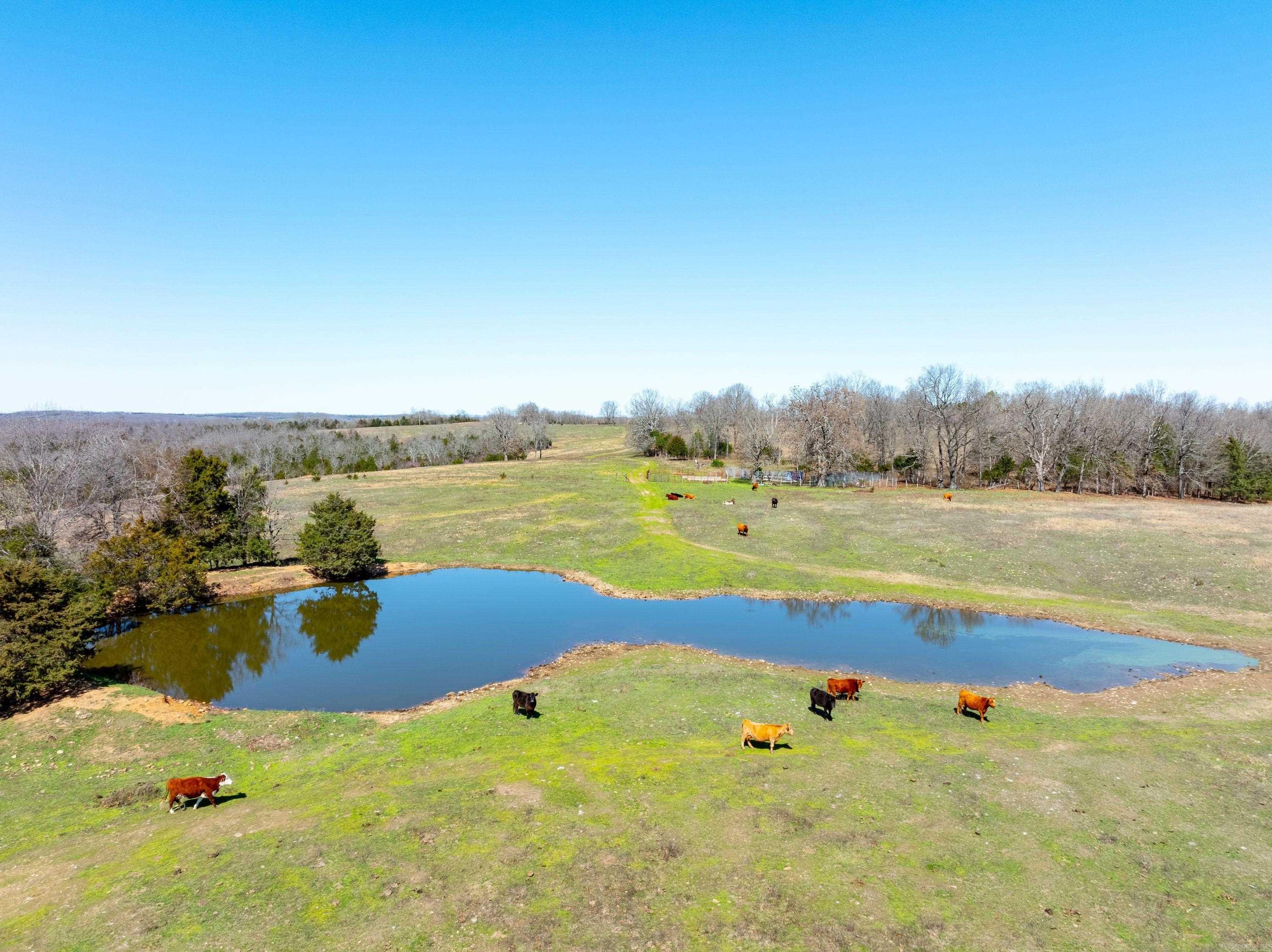934 +/- Acre Working Cattle Ranch in Baxter County, Arkansas. This exceptional, contiguous tract offers a rare opportunity to own a large-scale, income-producing cattle operation in the Ozarks. The property is fenced and cross-fenced for efficient grazing and herd management, with multiple ponds and a live creek providing abundant water sources throughout. The land features productive pasture and an excellent layout, making it ideal for running cattle or expanding an existing operation. With gravel road frontage and located just a few miles off the main road, the property offers both accessibility and privacy. In addition to its agricultural value, the ranch offers outstanding recreational opportunities with whitetail deer and turkey, and is conveniently located near Norfork Lake and the White River. With annual taxes of approximately $1,200, this property is an efficient investment with low holding costs. Whether you’re looking for a working ranch, recreational retreat, or long-term land investment, this property checks all the boxes.