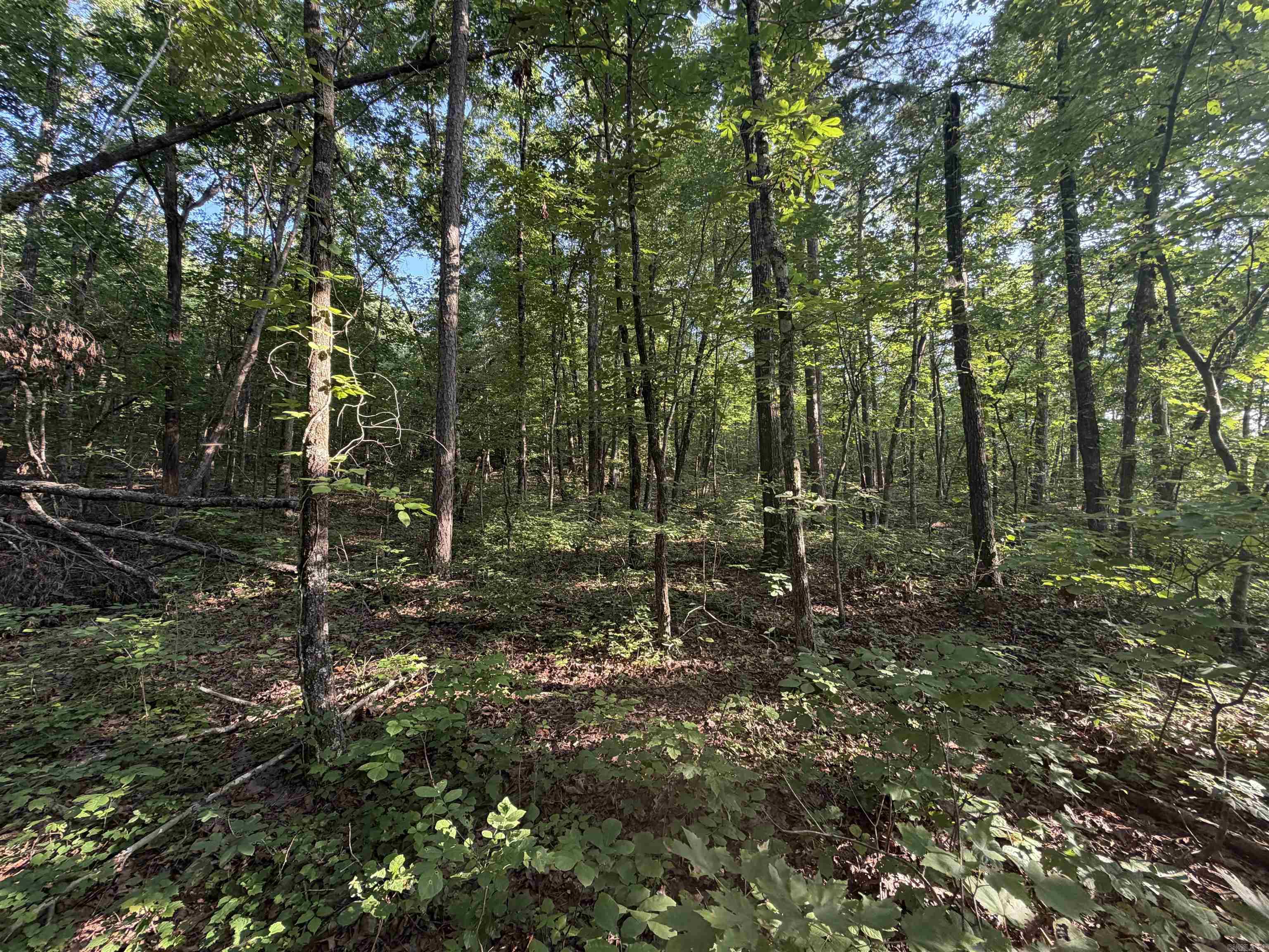 Not in Subdivision - Land