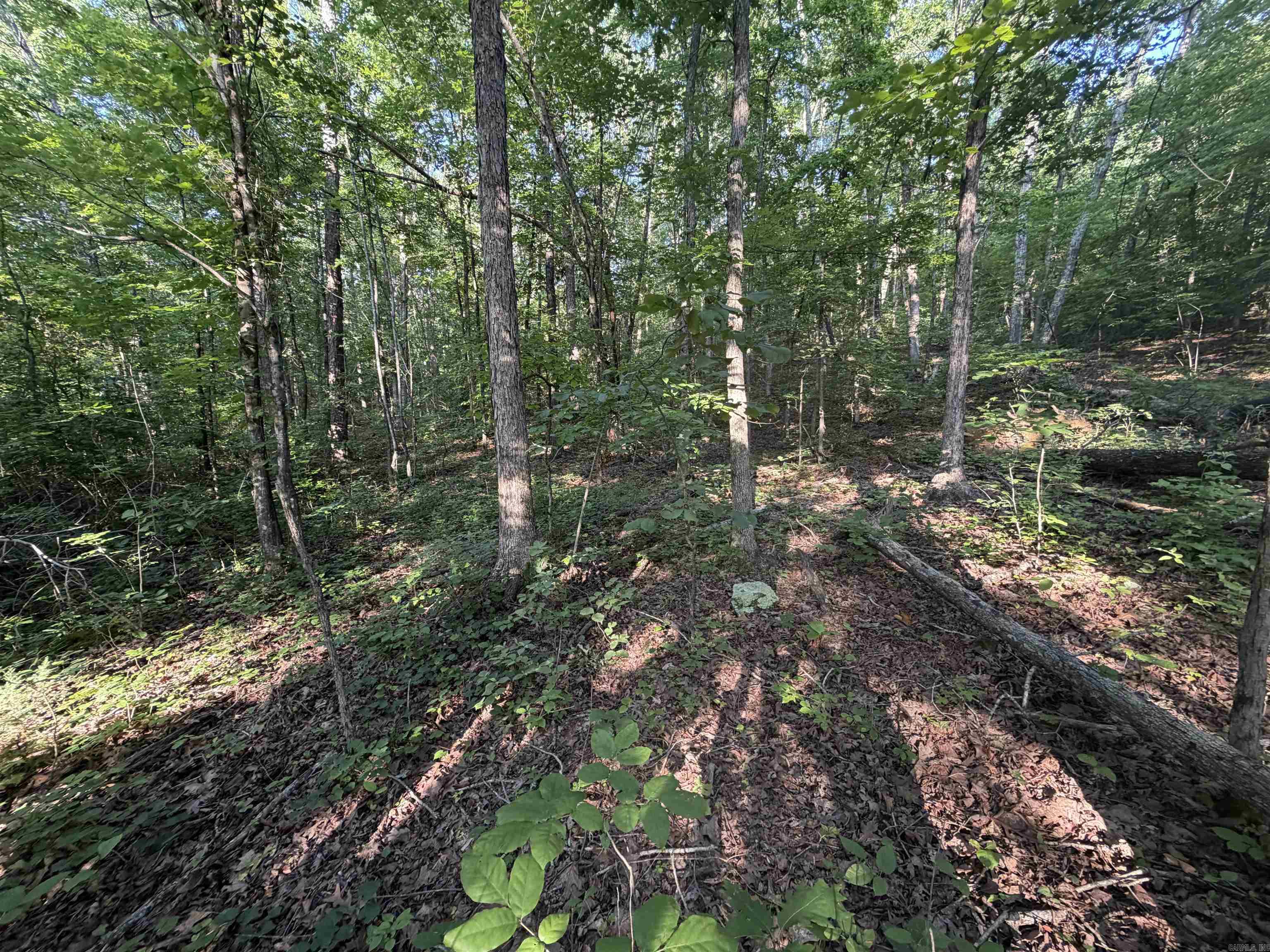Not in Subdivision - Land