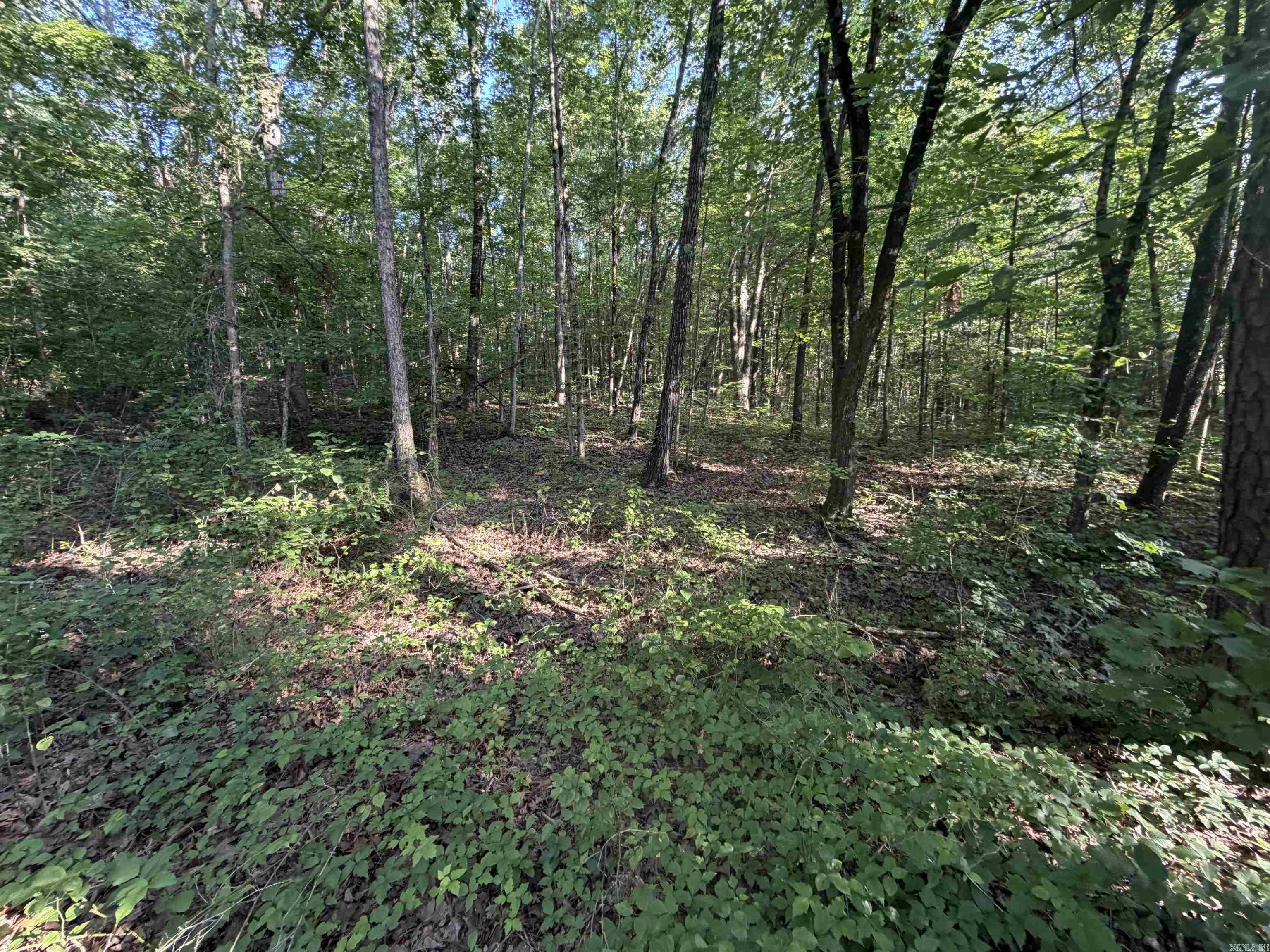 Not in Subdivision - Land