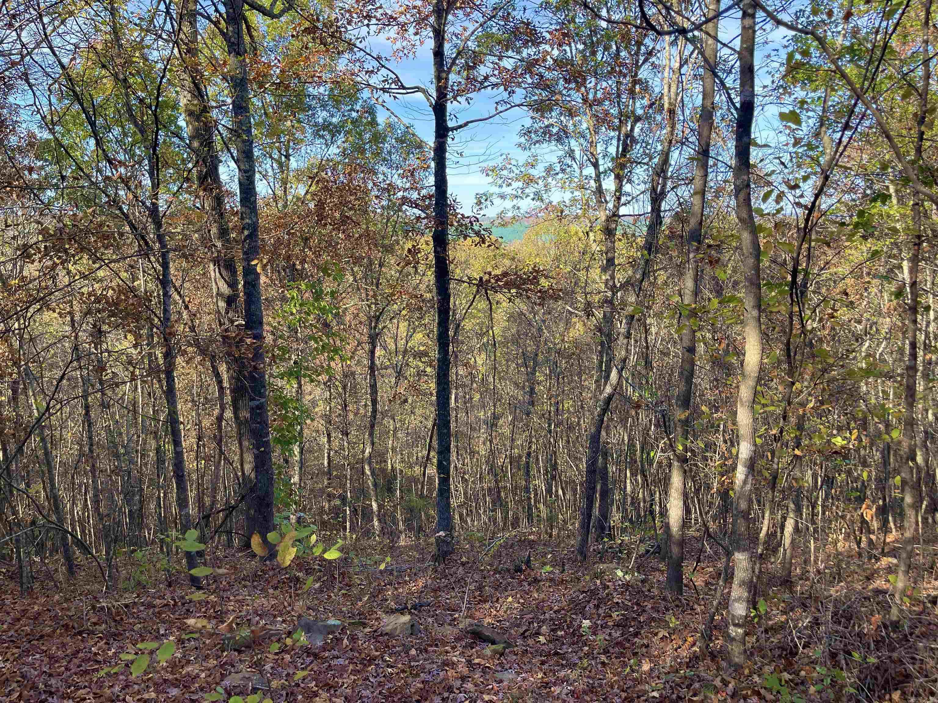Eagle Ridge - Land