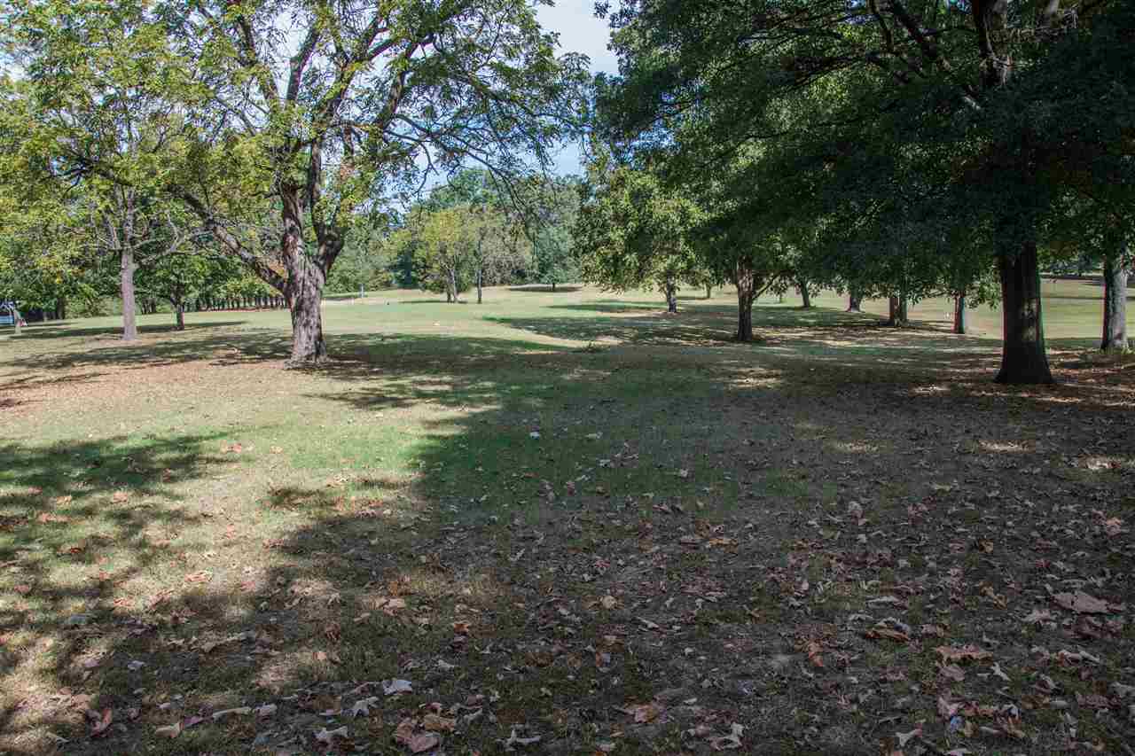 Wiregrass - Jonesboro's newest subdivision! Rolling hills and amazing trees will surround these quality built homes. If you have been looking for a home in the middle of town, convenient to the hospitals, restaurants, shopping and schools but yet still tucked away from all the hustle, you have found it.