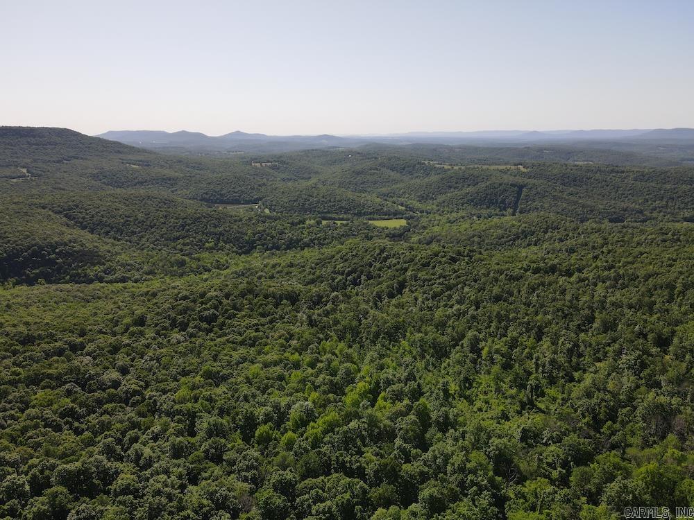 This stunning, remote timber tract near the Buffalo National River is a true gem of natural beauty and wildlife habitat. Nestled beneath the bluffs near Newberry Point Mountain and Tom Thumb Springs, this secluded property offers privacy and proximity to Buffalo River access, national forest, and hiking trails. The land features massive, mature, and marketable hardwoods, with a prehistoric feel. Large rock outcroppings and boulders enhance the rugged landscape and provide habitat for resident black bears. A vibrant understory of native broadleaf plants thrives, complemented by small, clear springs trickling through the hillsides. The terrain offers easy navigation with sweeping flats interspersed with small, steep hills leading to a bluff. Ideal for a cabin with epic views, the property is a wildlife haven with abundant deer, turkey, and black bear. Untouched for over two decades, it offers exceptional hunting and a rare opportunity to own a slice of pristine, untamed wilderness. Schedule your private showing today.