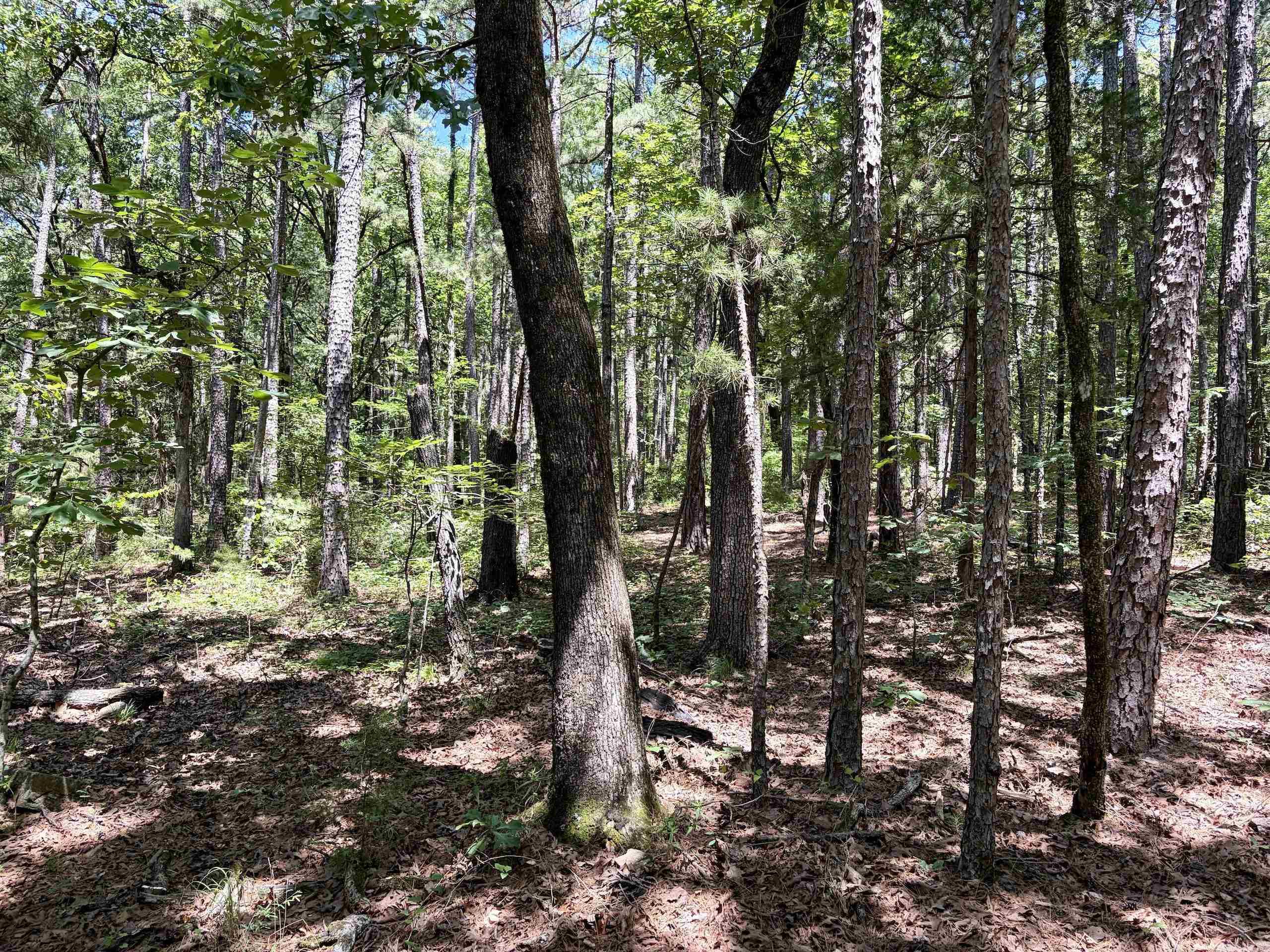 Not in Subdivision - Land