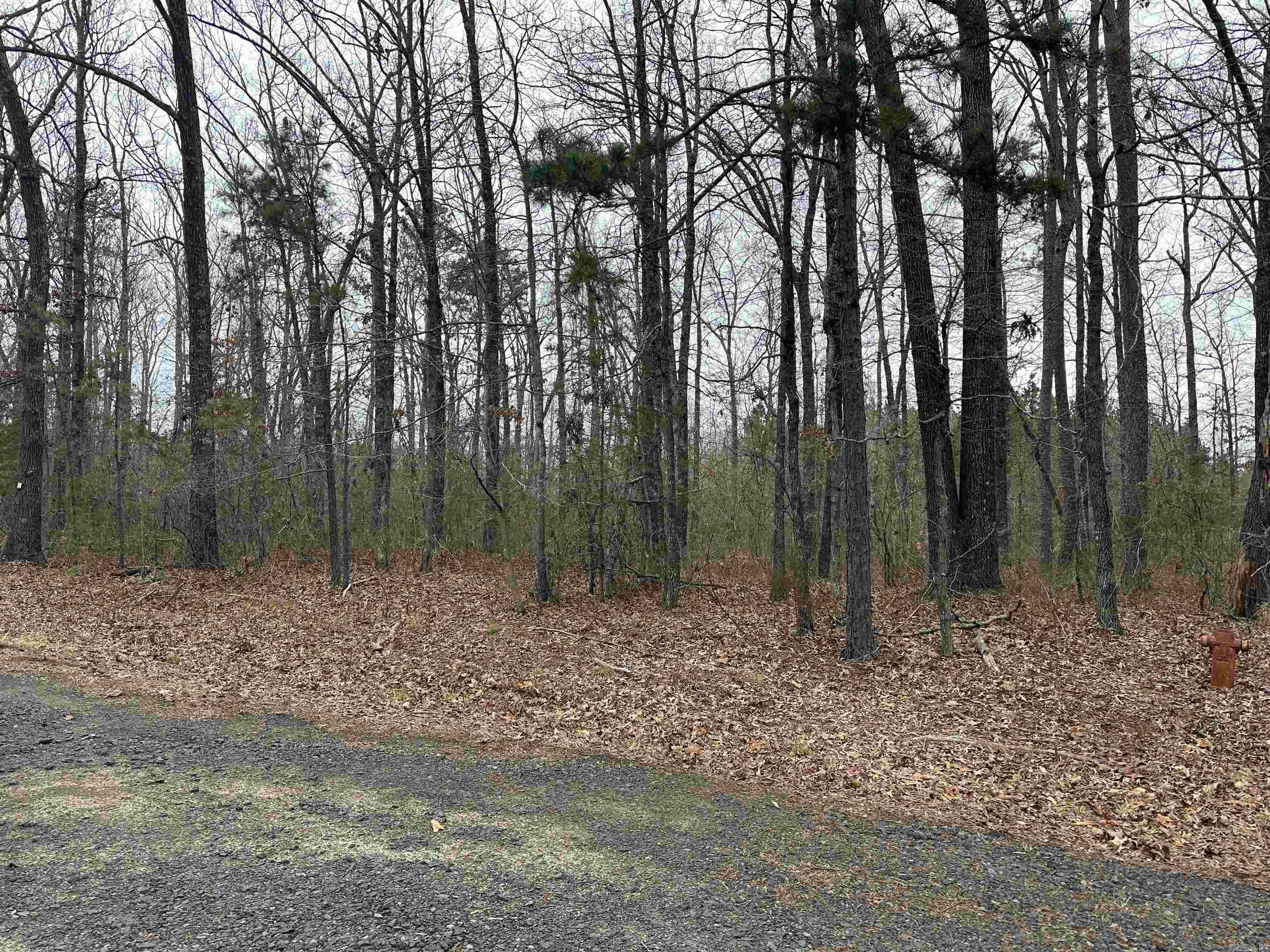 Nice buildable lots located right in the middle of town and close to EVERYTHING. These won't last long so call today.
