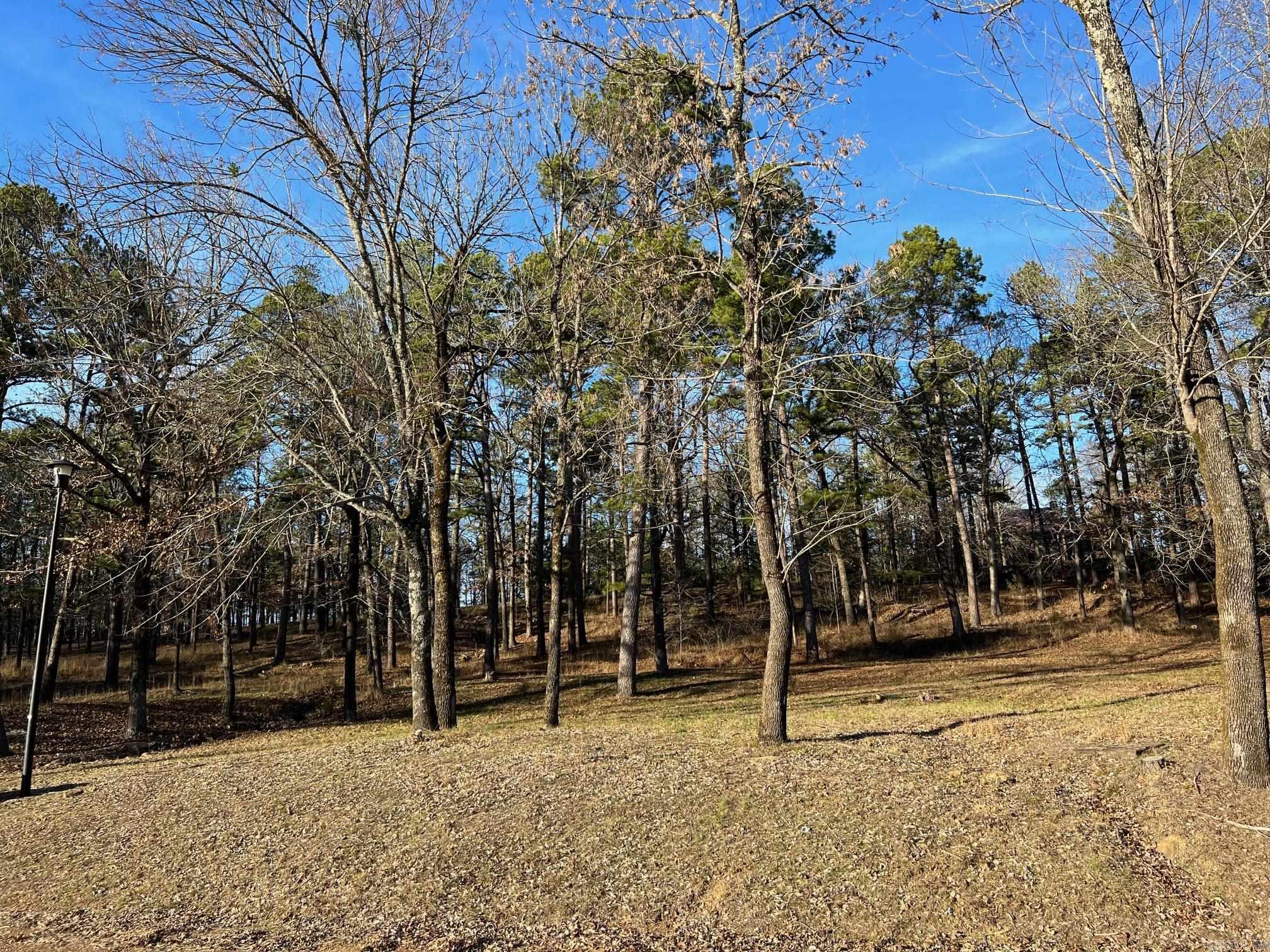 Primrose Creek Sayles - Land