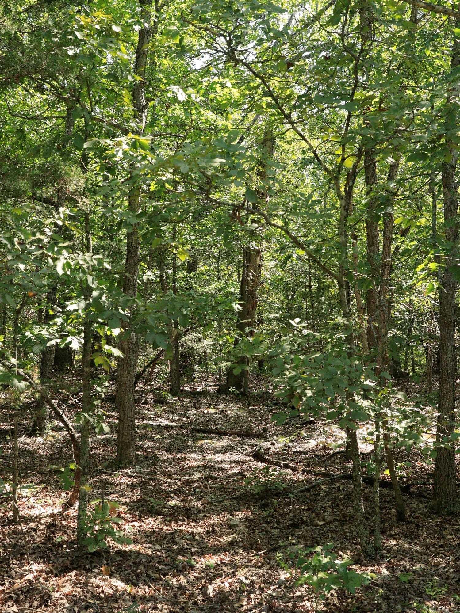 Pioneer Park - Land