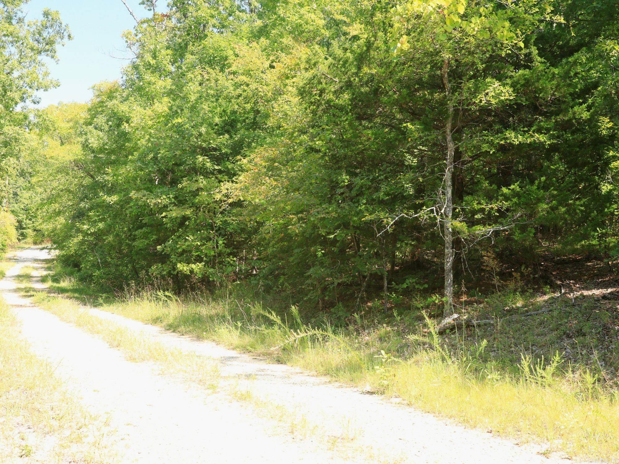 Pioneer Park - Land