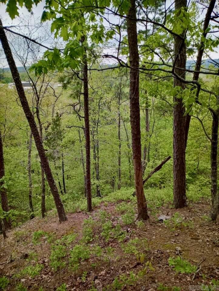 REDUCED!!!  Spectacular views from this 28 acres m/l parcel overlooking & bordering Collier Creek, right at Caddo Hills School. Access for this property is off of Buttermilk Springs Road, then turn left onto Caddo Hill Trail. This parcel is at the end of a dead end road.   There are several options for someone owning this property; build your new custom home, a weekend or summer cabin, setup a campsite for the summer, or just use it for hunting.  The trees are a mixture of cedar, hardwoods & some pine of all sizes. Selective cutting the trees/timber will give you optimal mountain views.   Not only does this property feature Collier Creek, but there is also a wet-weather creek, with a possible spring on the hillside that flows into Collier Creek.  Call today for your private viewing.  This one has it all.