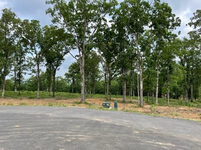 Orchard Hill - Land