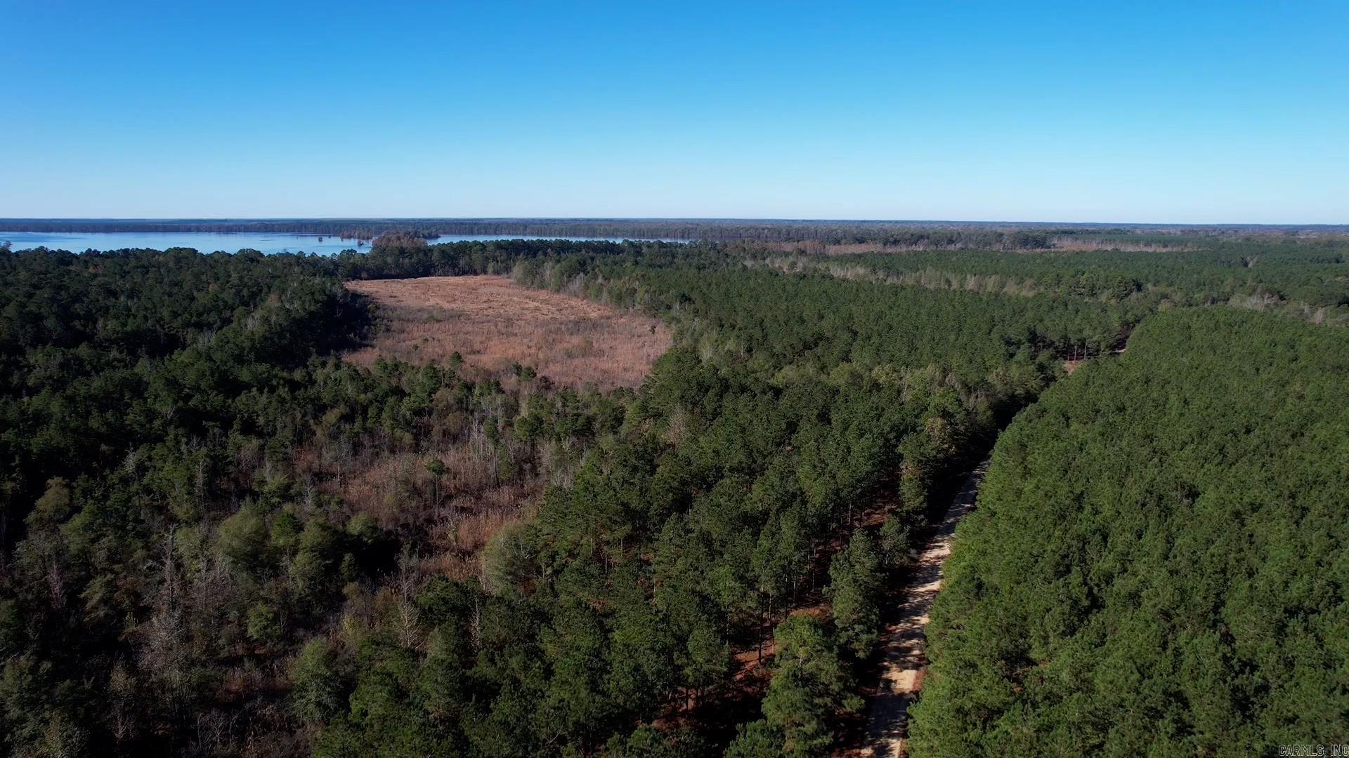 The Lake GP Tract is located in Ashley County, Arkansas about 11 miles north of Crossett.  This tract is adjacent to Lake GP, about ¼ mile from the Saline River (Stillion Access), and about 1 mile from Felsenthal NWR. Access to the property is great from Ashely Couty Road 250 with over 2 miles of gravel road on the north boundary. About 200 acres is planted loblolly pine of various ages from merchantable to premerchantable. About 60 acres is natural pine hardwood mixed, and the remaining 120 acres is hardwood and cypress sloughs. Part of this area is Stillion Lake. This lake is over 25 acres and most of the lake holds water year-round!   This tract is a sportsman dream with a variety of habitats from mature hardwood forest, mature and young pine forest, and open water cypress lakes! This tract also provides a great timberland investment.