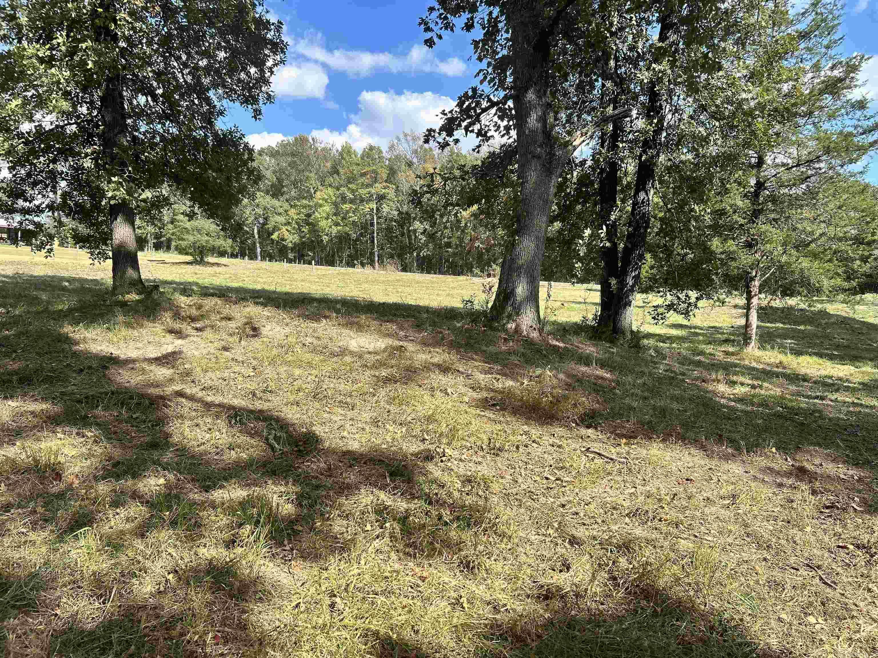 AVILLA MANOR - Land