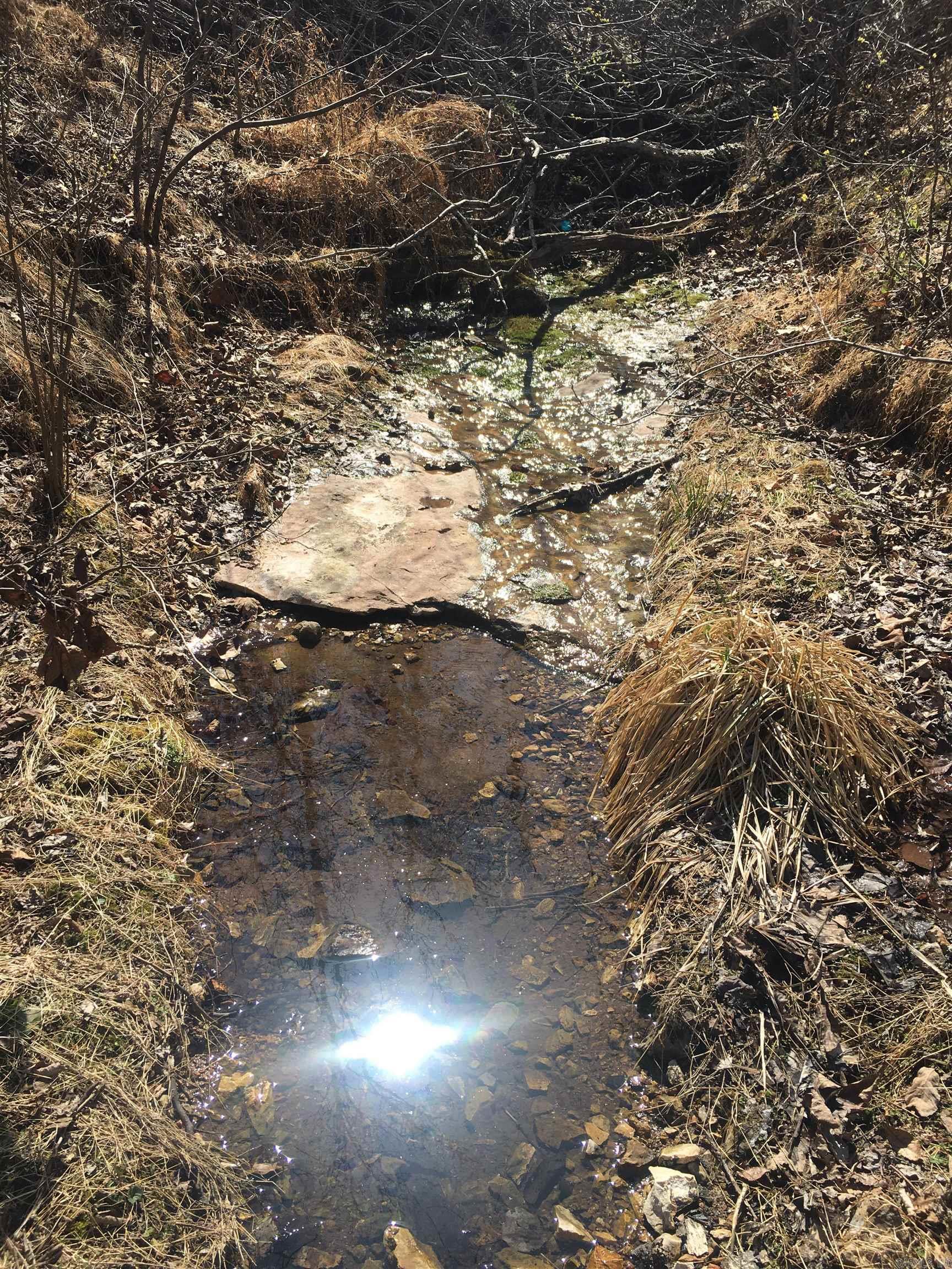 5acres m/L.  Unrestricted, and joining Buffalo National Park Service.  Located less than ½ mile down gravel road, and within 2 miles of river access.  Power along road at property.  Potential for good Southern views over the river valley and a nice Spring coming out in the hollow.