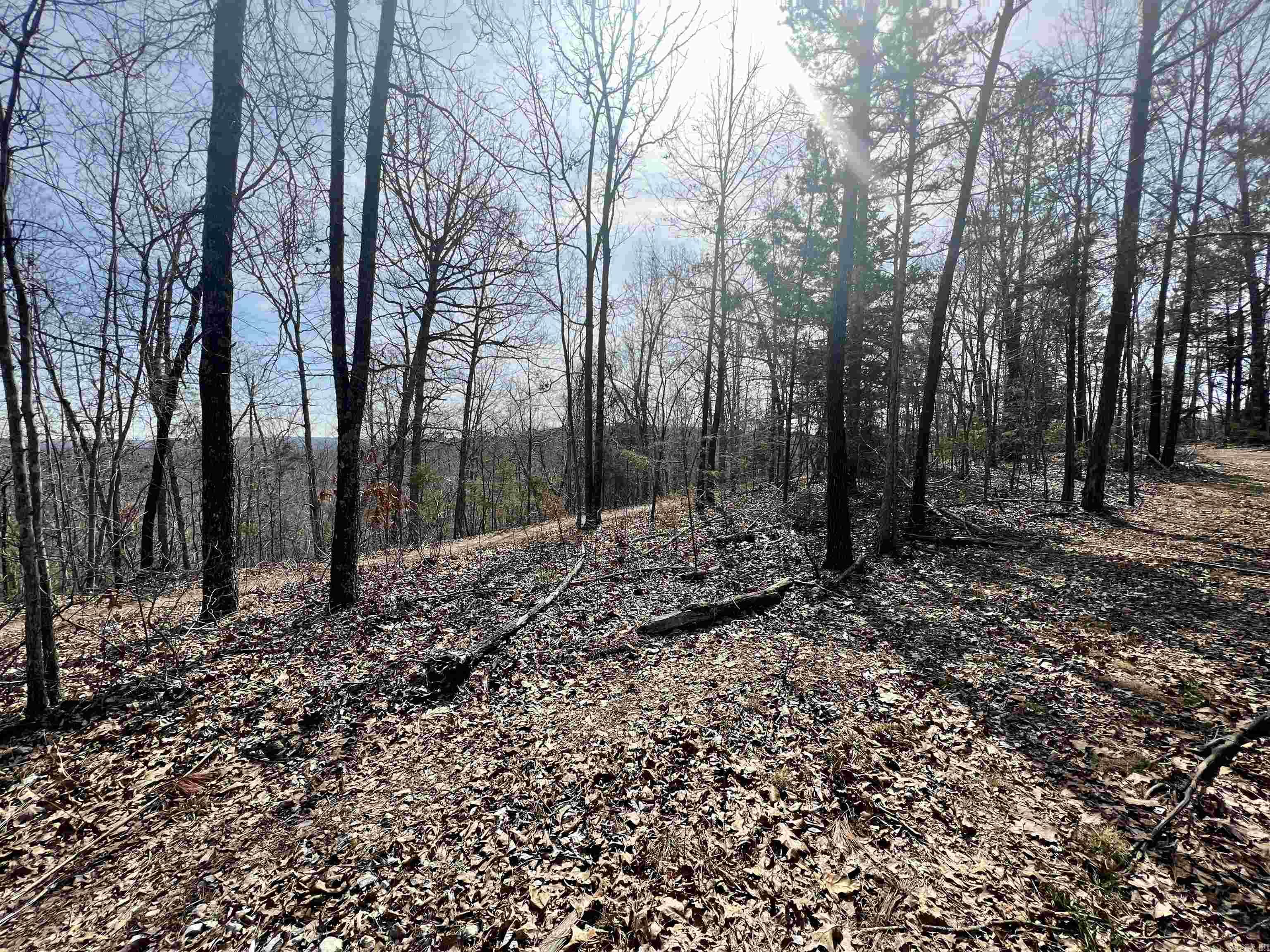 Not in Subdivision - Land