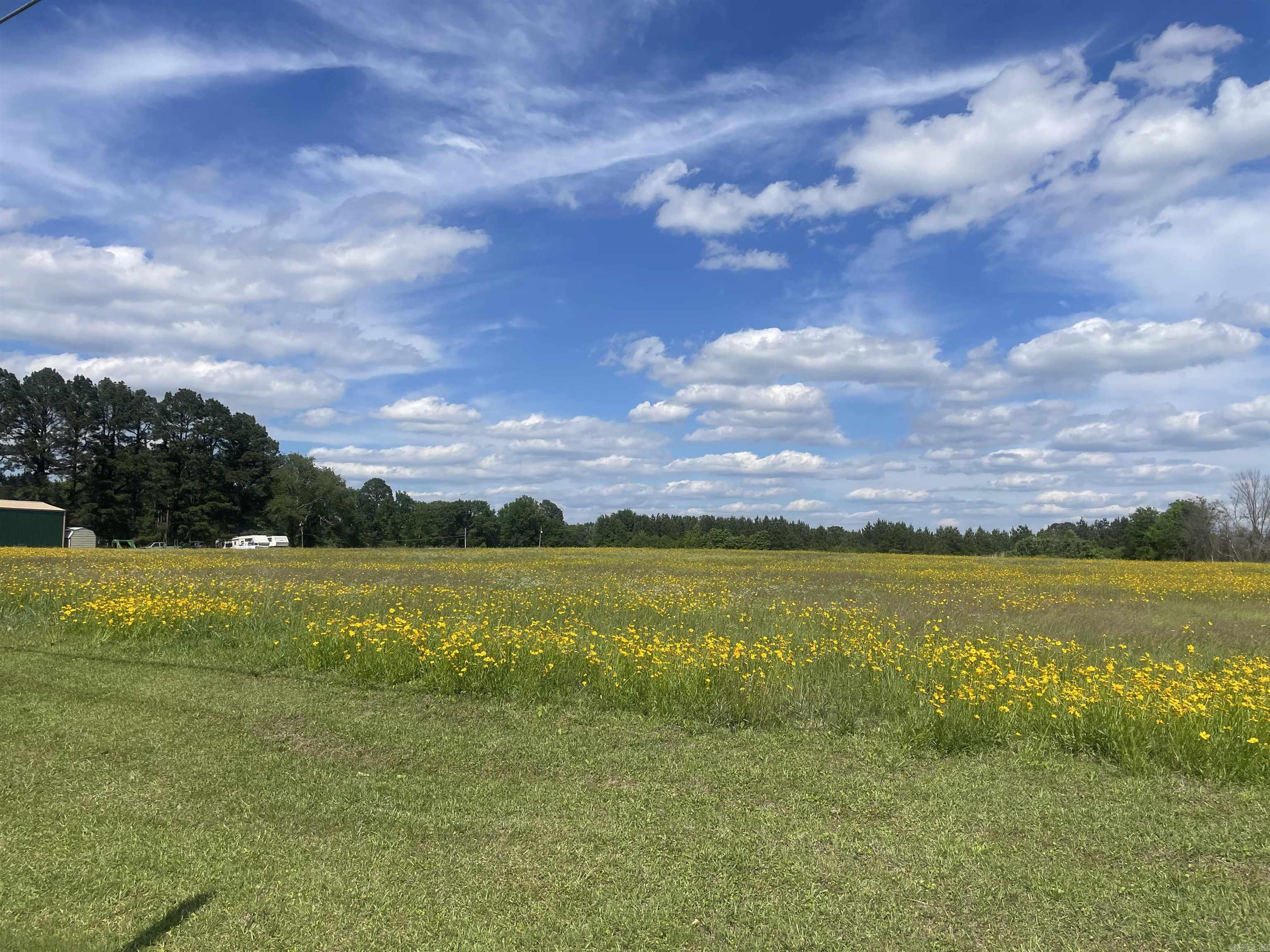 Looking to build your own homestead/farm or ranch!  Look no further this 36.1 acres has it all. A combination of pastureland and woods even a small pond.  Public water, natural gas, and internet are available.   A very nice piece of property.  Take a look today! Agents see remarks!