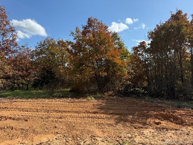 Wooded lot perfect for building your home or building a home to sale.  You could leave trees at the back of the lot for privacy.  All utilities are on the property. 1450 sq. ft. minimum