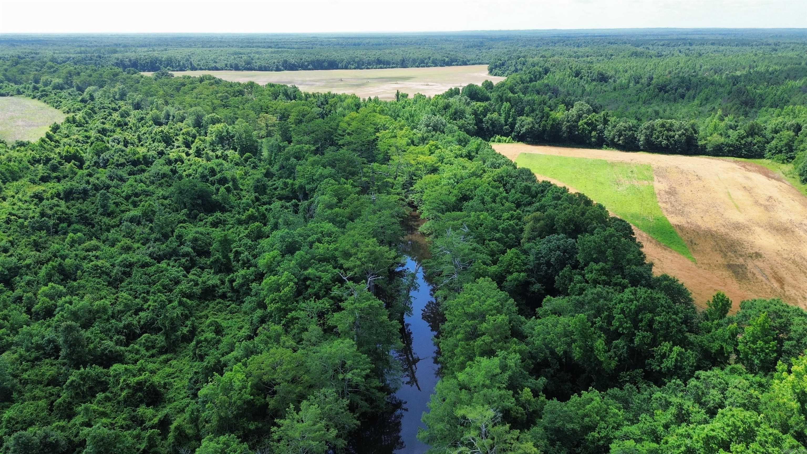 Bayou Bartholomew Timber Tract:  The affordable hunting property you've been waiting for!   This expansive timber tract offers outstanding deer and duck hunting opportunities along the banks of the world's longest bayou, where mature timber, natural habitat, and abundant wildlife create an exceptional recreational retreat.   Trophy whitetail deer, waterfowl, and other game make this property a hunter's dream, while the established timber provides significant investment potential with harvest value and future income opportunities.   The large acreage offers ample room for multiple hunting locations, ATV trails, camping, and outdoor recreation, with the added potential for hunting lease income.   Whether you're looking for a private hunting getaway, a long-term land investment, or both, this unique property delivers the perfect combination of recreation, natural beauty, and income-producing potential.   Don't miss this rare opportunity to own a large acreage timber tract with exceptional hunting and investment value.  (Sale price to be determined by a new survey and price per acre.)