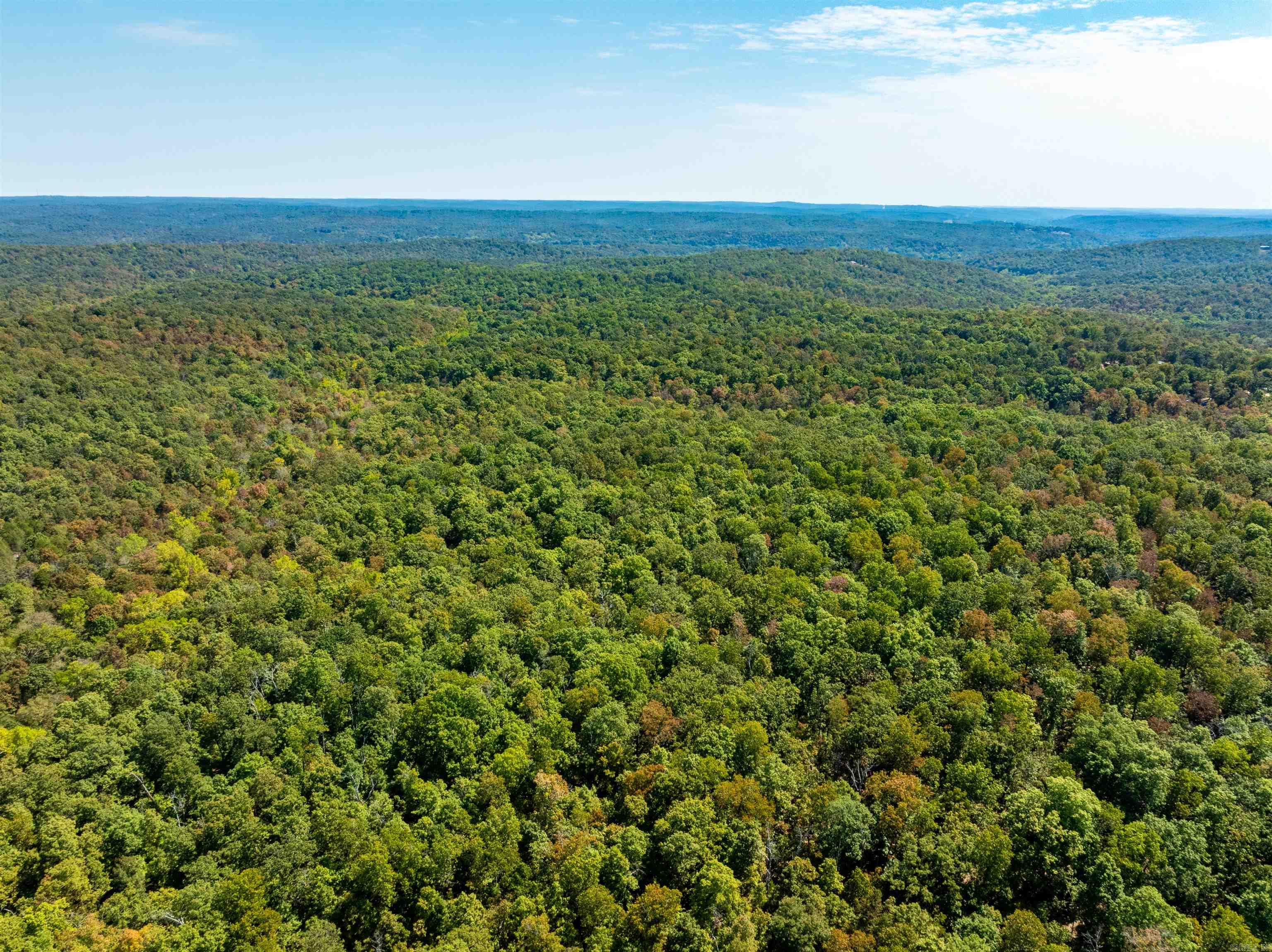 McFadden to the Bluffs - Land