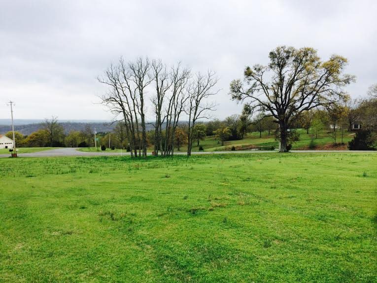 Beautiful, welcoming home with spectacular view on 5.38 acres. Grapevines, strawberry plants and fruit trees on the lot in a quiet rural neighborhood. Dogs will be in kennel or off the property prior to showing.  One year home warranty available.