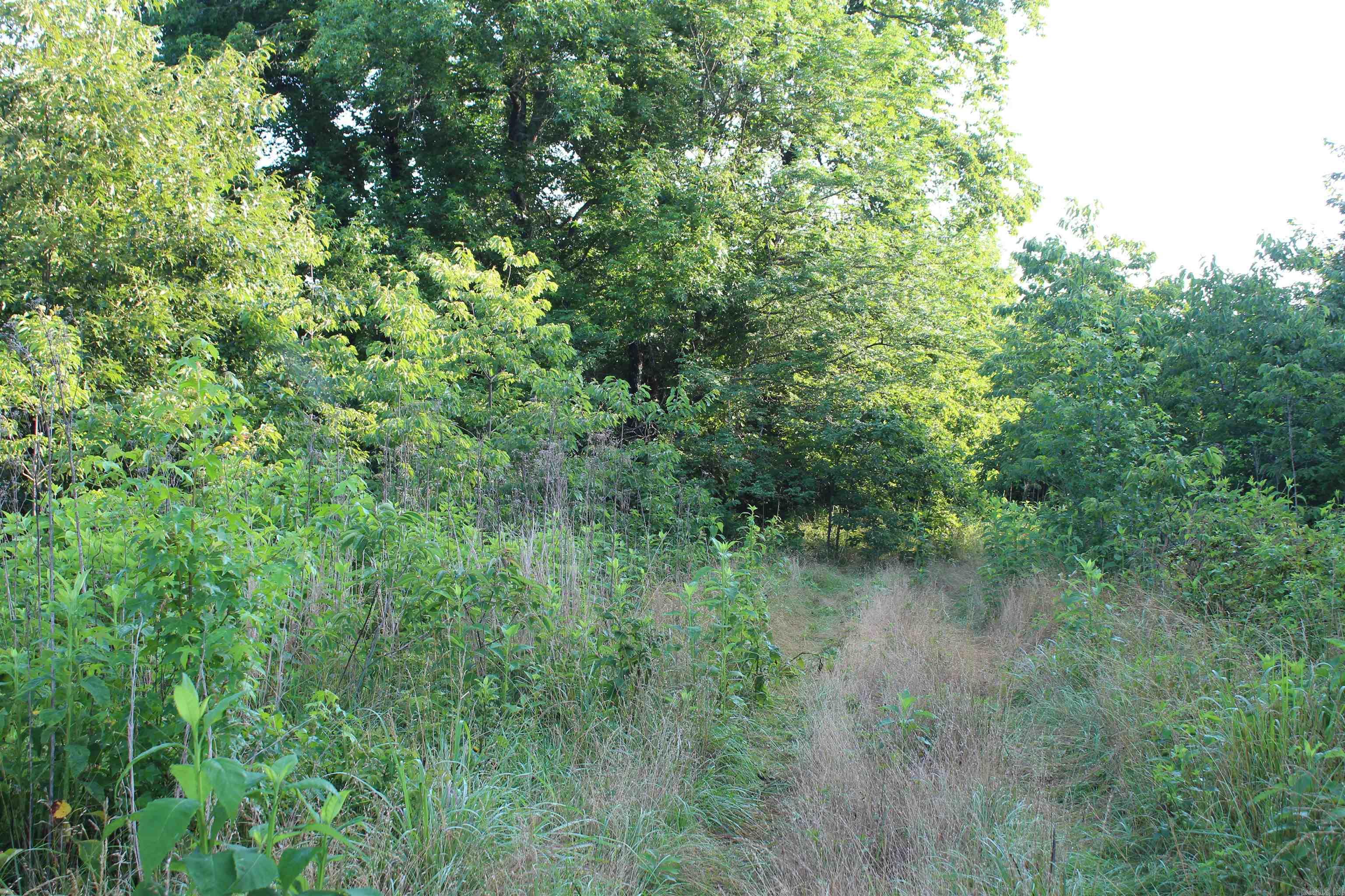 Not in Subdivision - Land