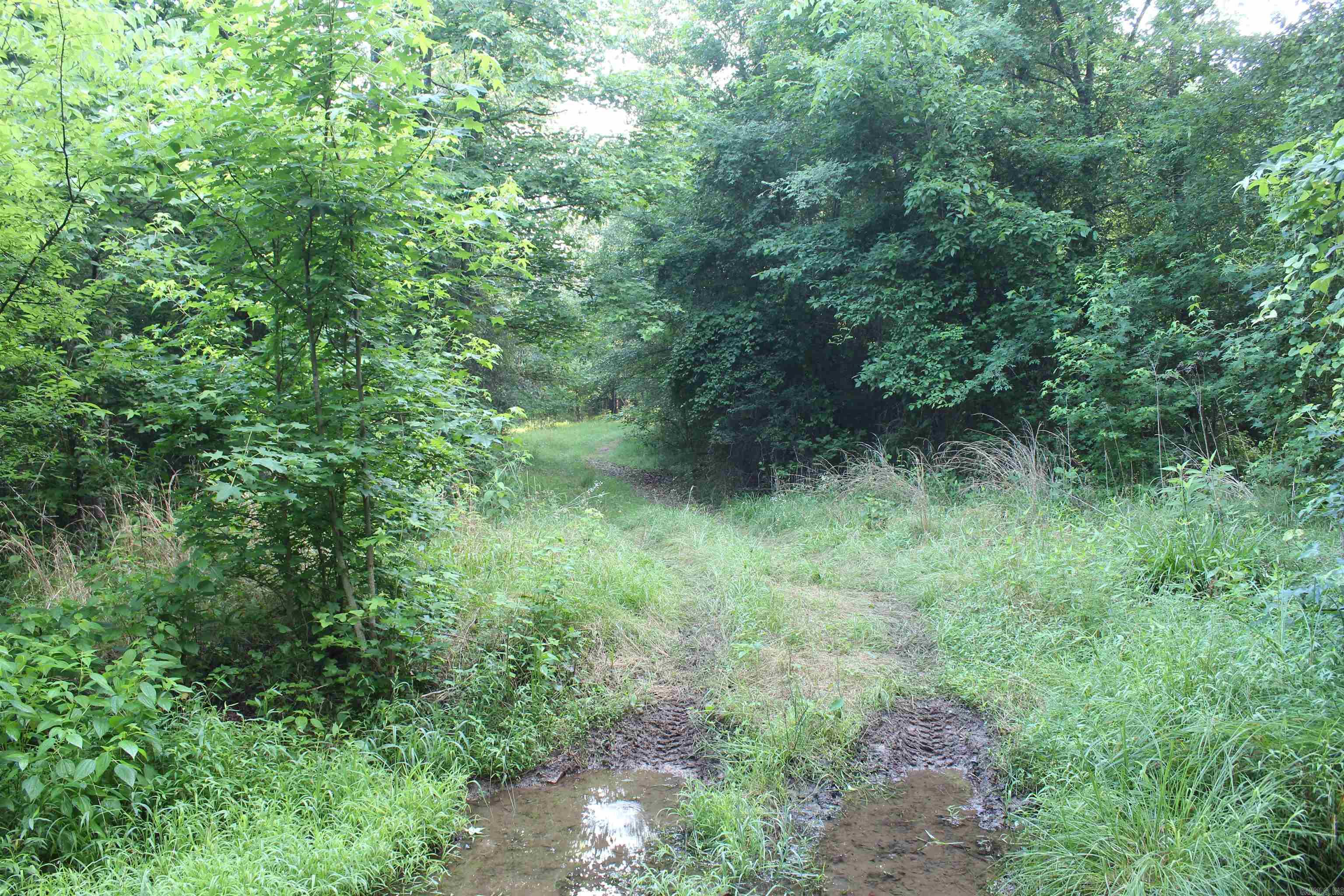 Not in Subdivision - Land