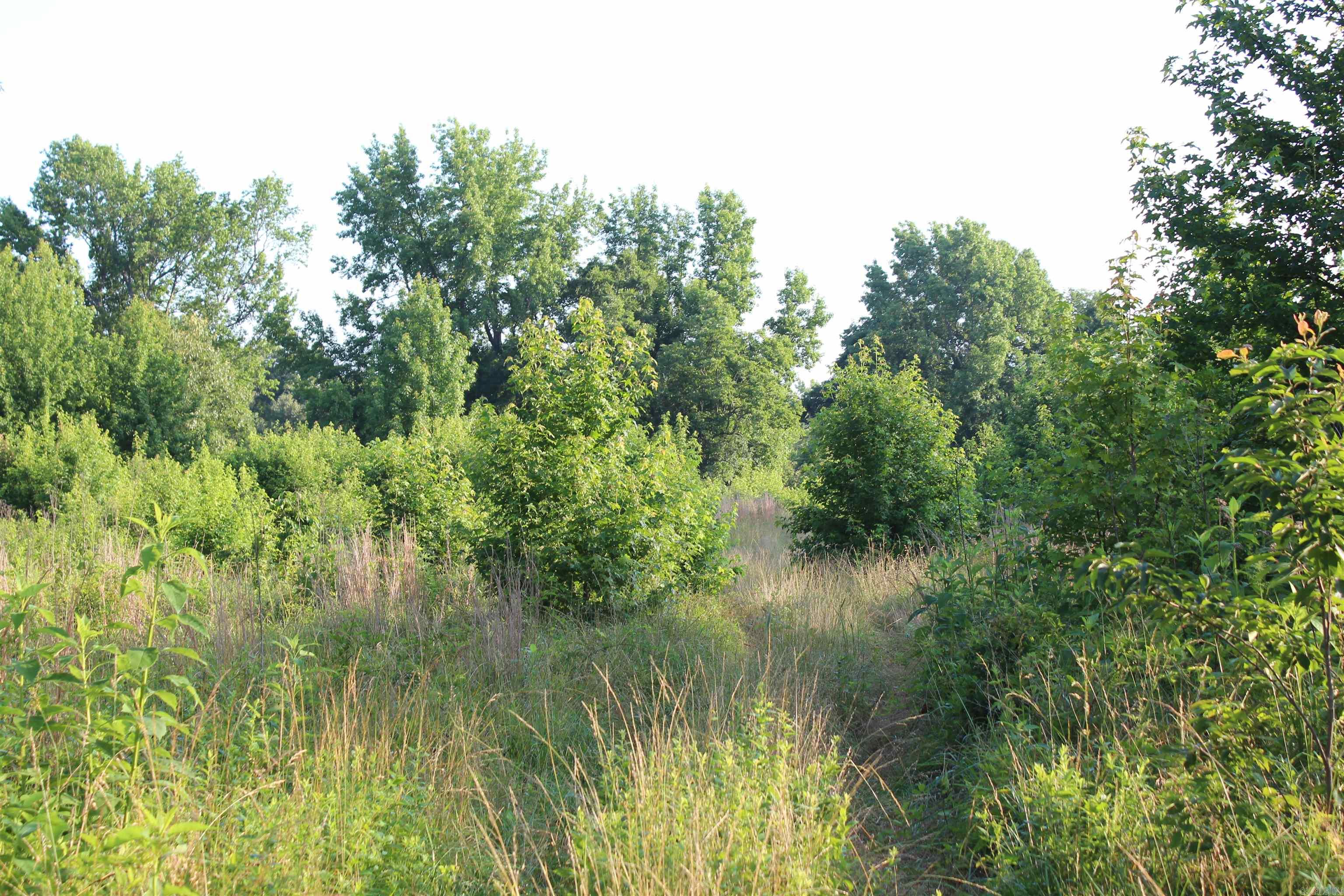 Not in Subdivision - Land