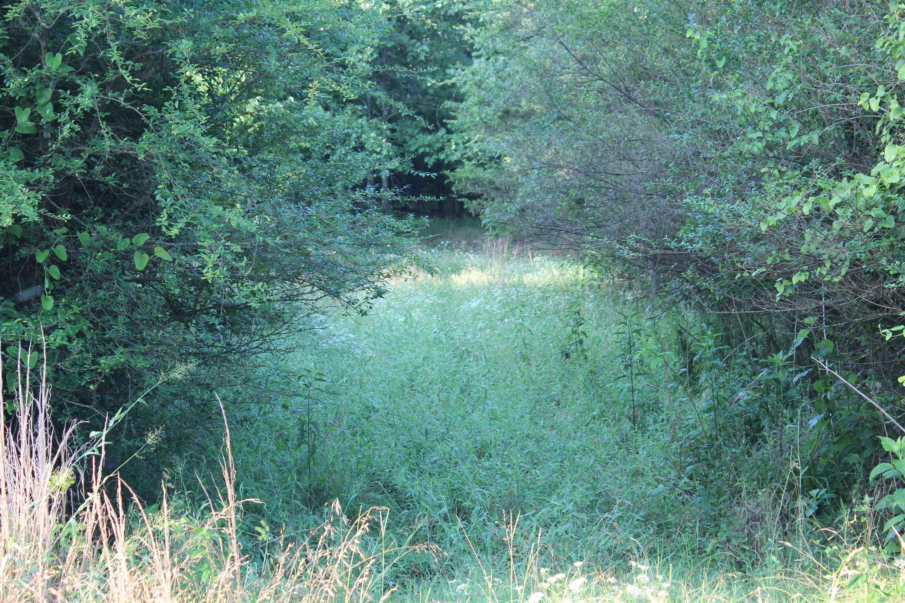 Not in Subdivision - Land