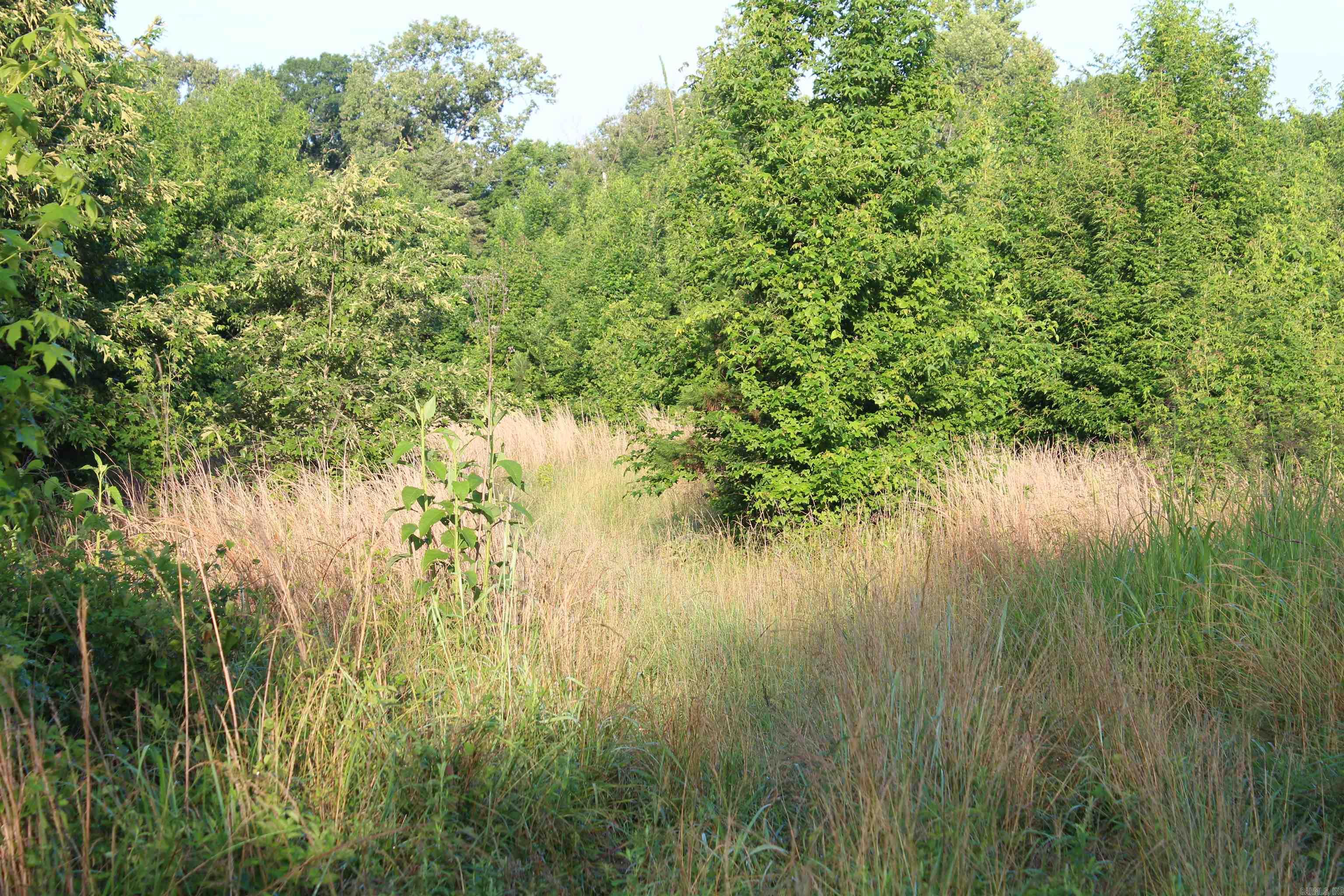 Not in Subdivision - Land