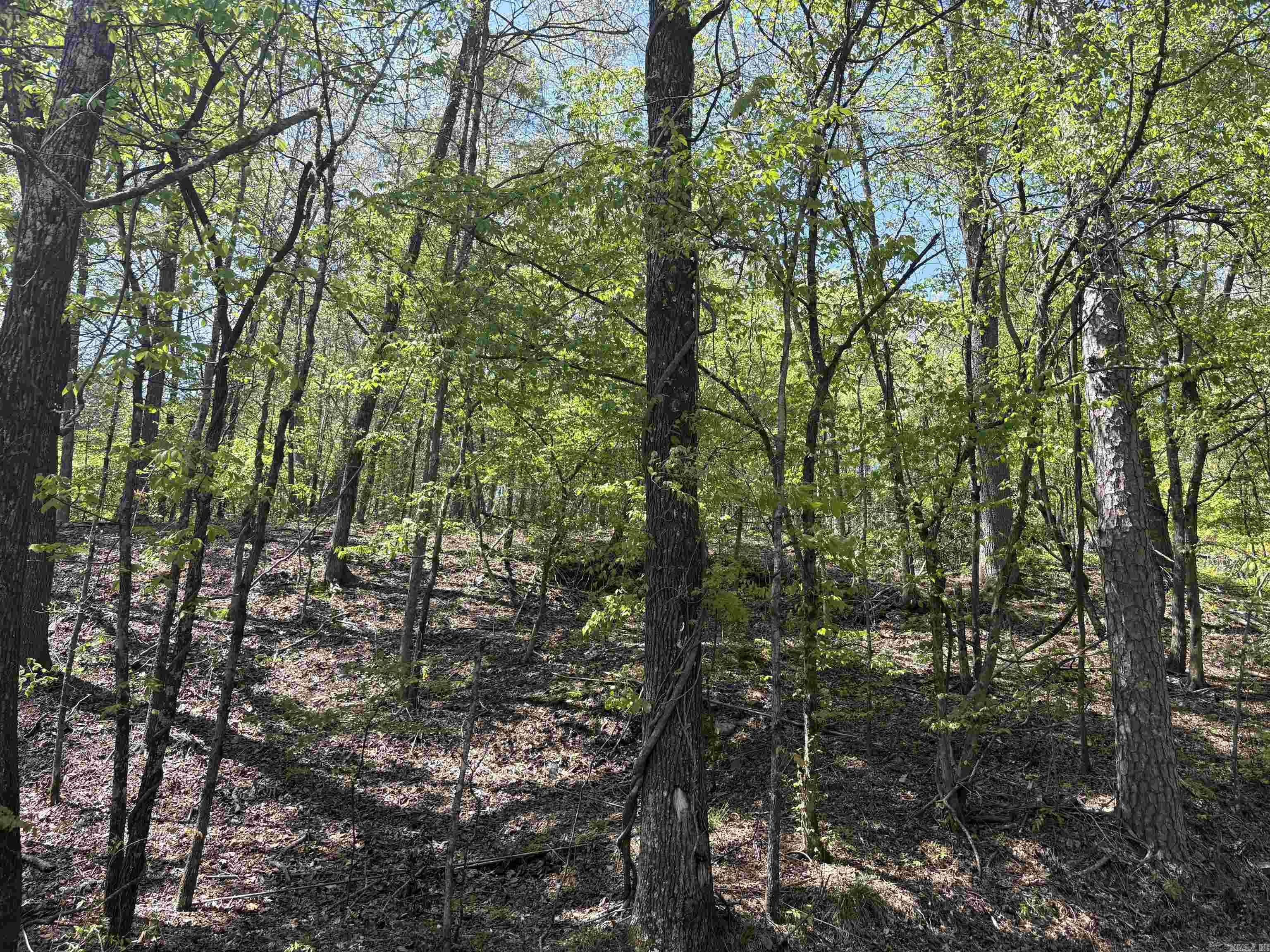 Build your dream home or secure a smart investment with this vacant lot in Hot Springs, Arkansas—just minutes from historic Downtown Hot Springs, Bathhouse Row, shopping, dining, and local attractions. Enjoy the convenience of being close to everything while still having the freedom to design a home that fits your lifestyle. Whether you’re planning a forever home, a long-term rental, or a future resale opportunity, this property offers excellent potential in a sought-after area with steady demand. Important note: The location is not zoned for manufactured homes. Any home built on the property must be stick-built (site-built construction). Don’t miss the chance to own land in one of Arkansas’s most iconic destinations—where natural beauty, rich history, and year-round tourism support strong value and opportunity. Contact me today for details on utilities, building requirements, and a simple path to making this lot yours.