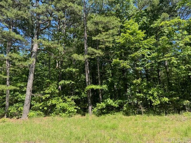 Nicely wooded lot ready for your new home.  This property is conveniently located between West Little Rock and Conway - easy drive to both cities!  There was a Mobile home on this property previously, septic tank remains and city water is at the road.