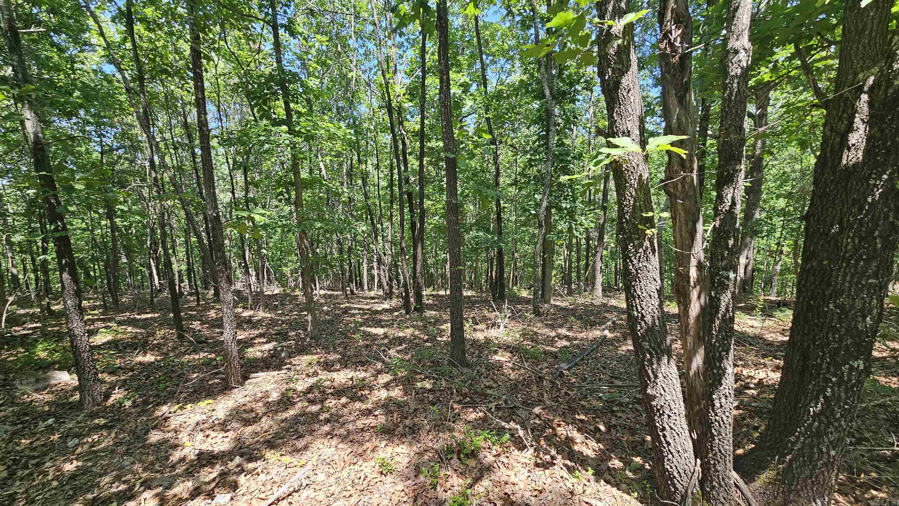 Ridgeview Estates - Land