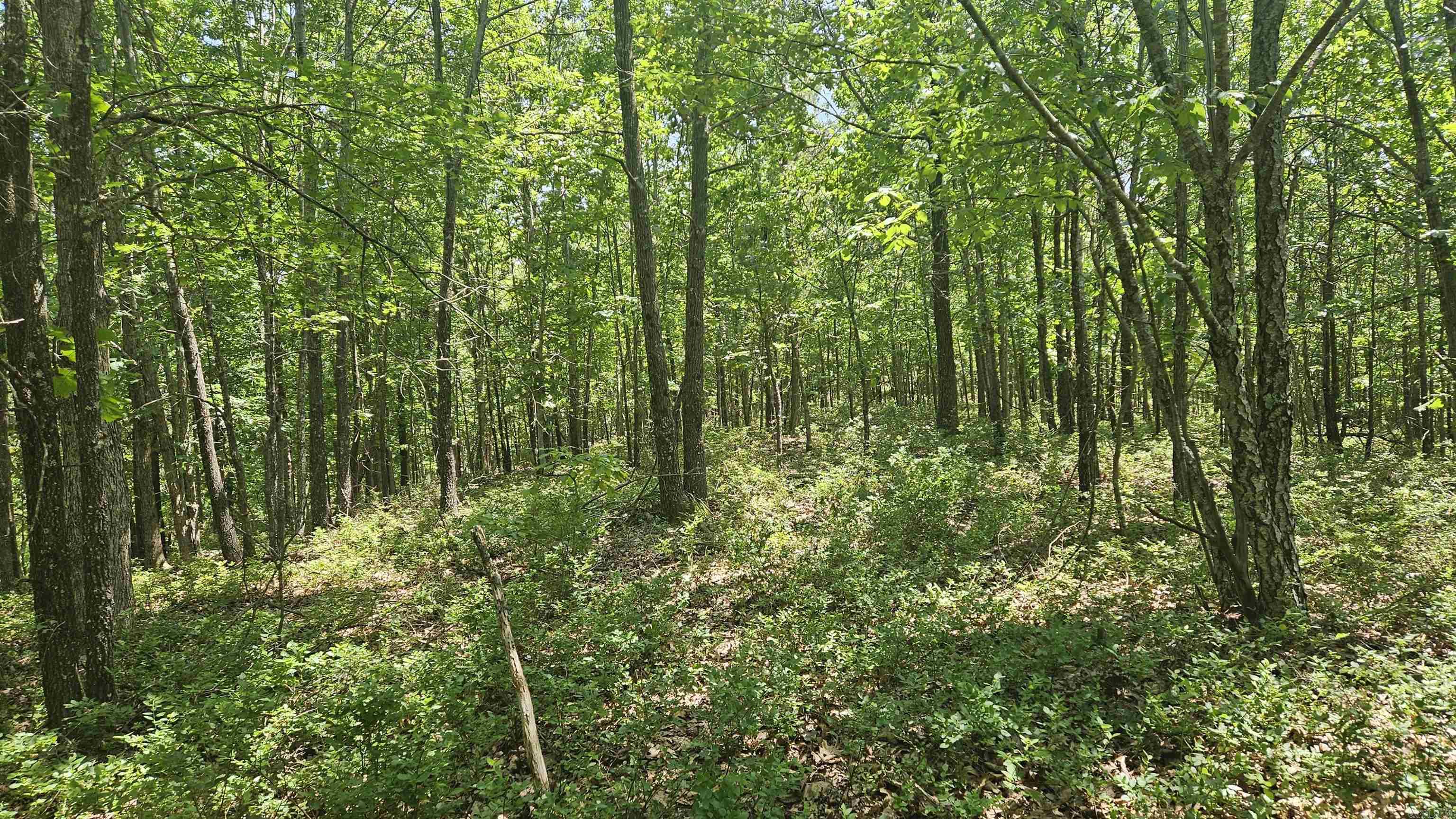 Ridgeview Estates - Land