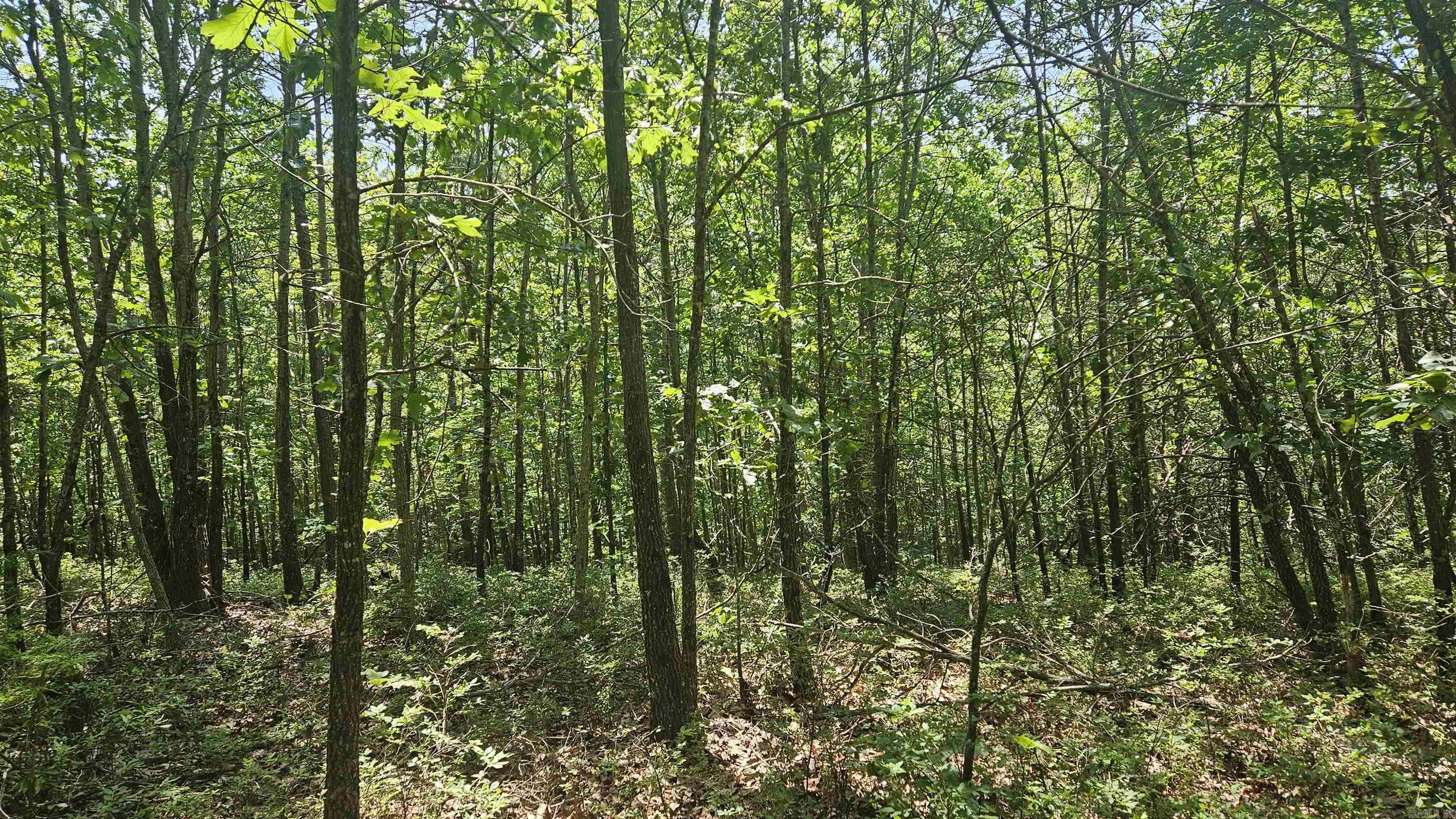 Ridgeview Estates - Land