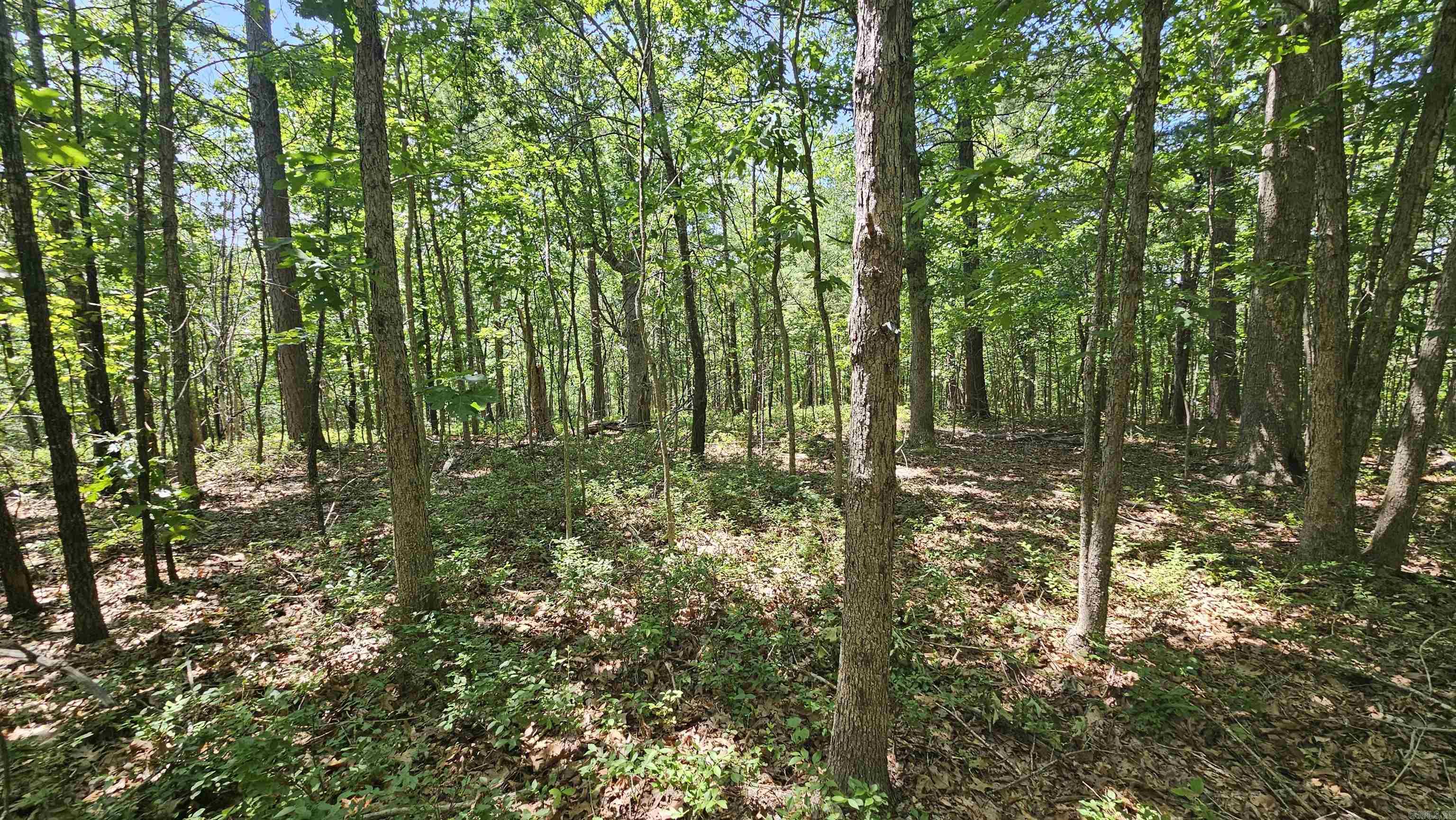 Ridgeview Estates - Land