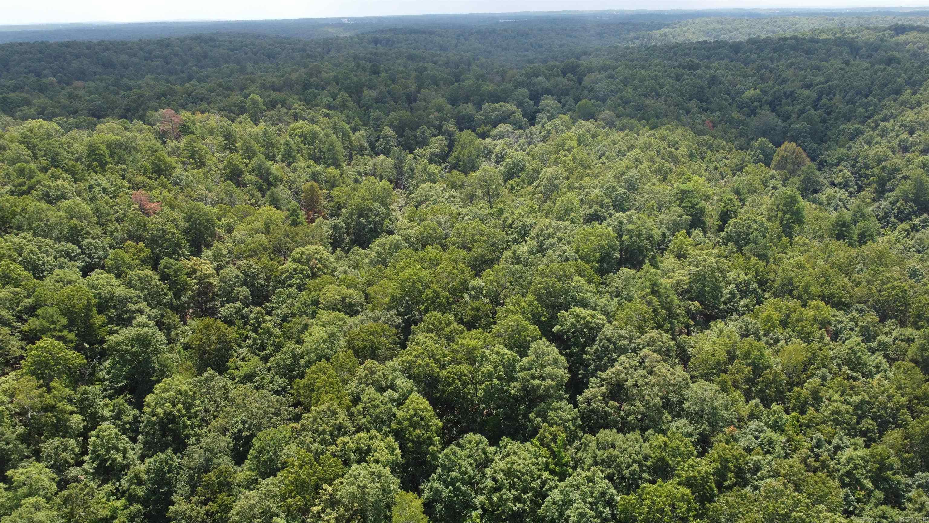 Ridgeview Estates - Land
