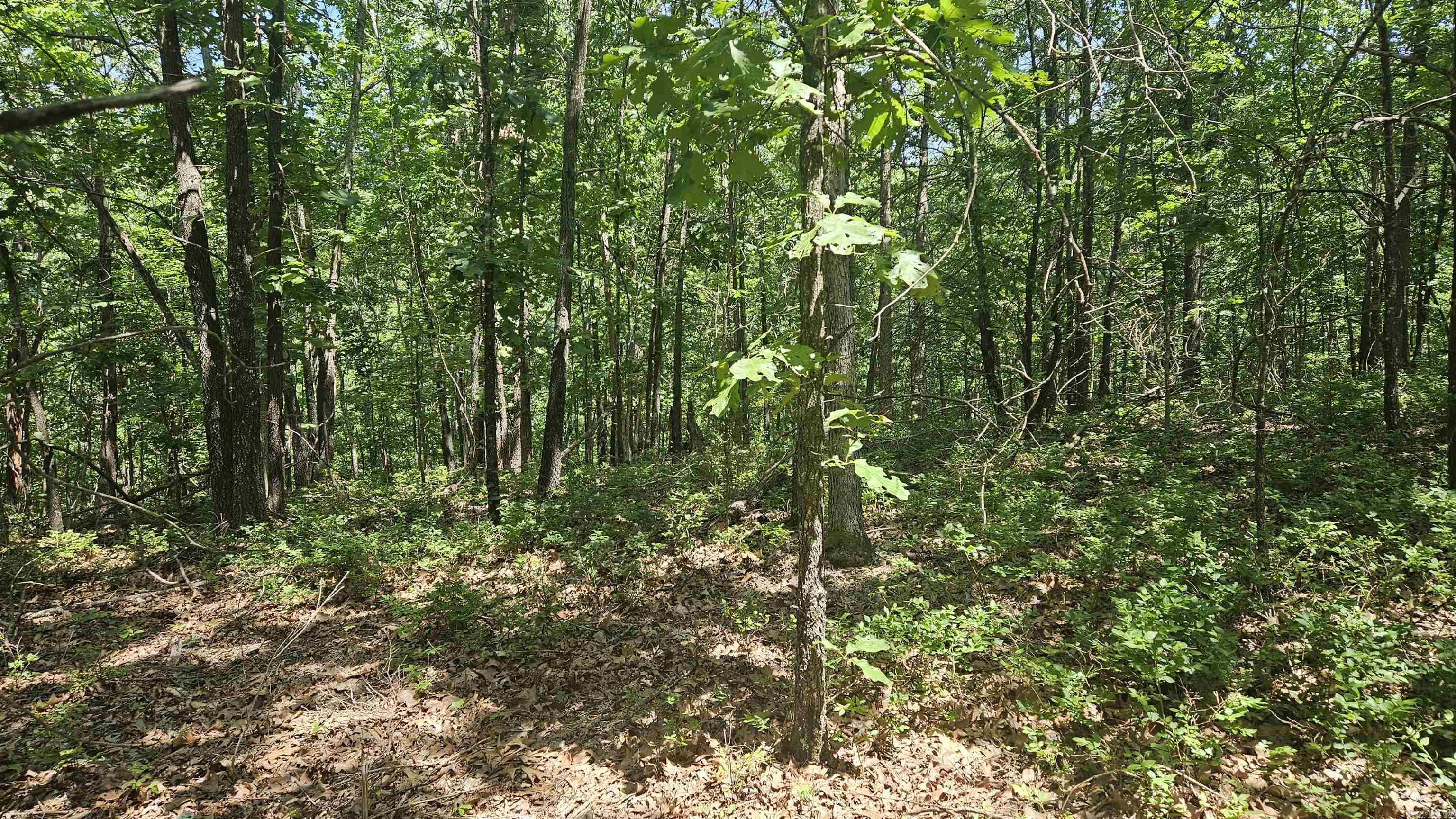 Ridgeview Estates - Land