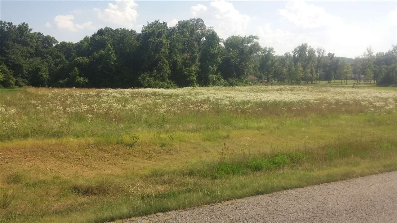Great neighborhood and lot to build on. Older perk and survey may be available.