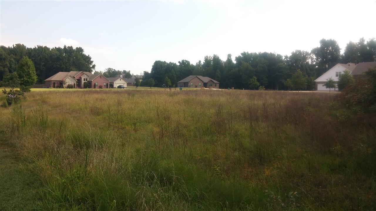 Greystone - Land