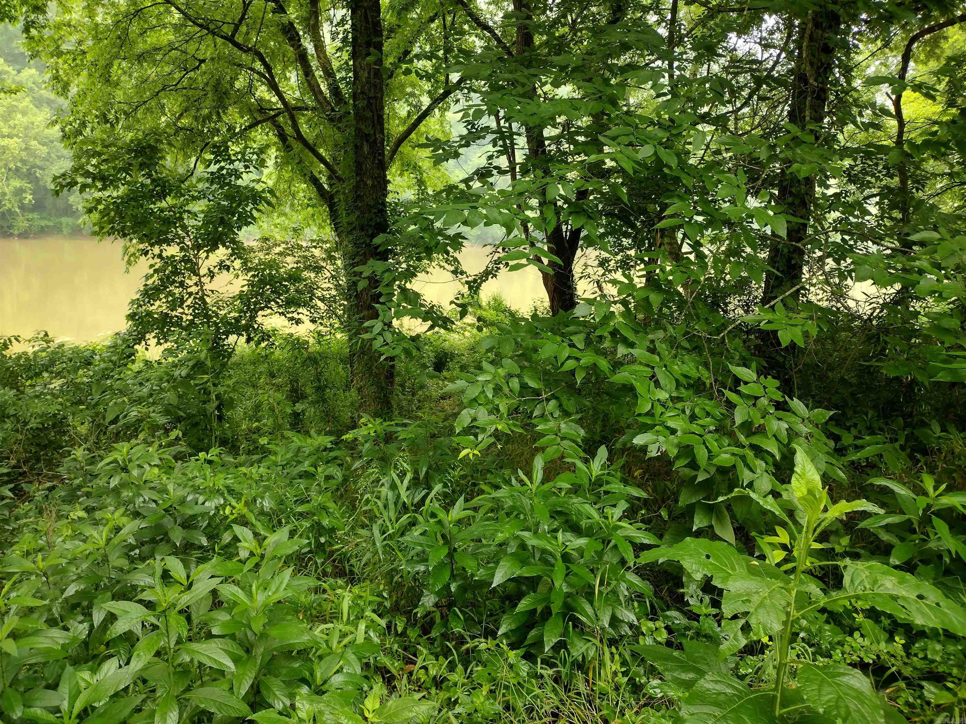 White River Estates - Land
