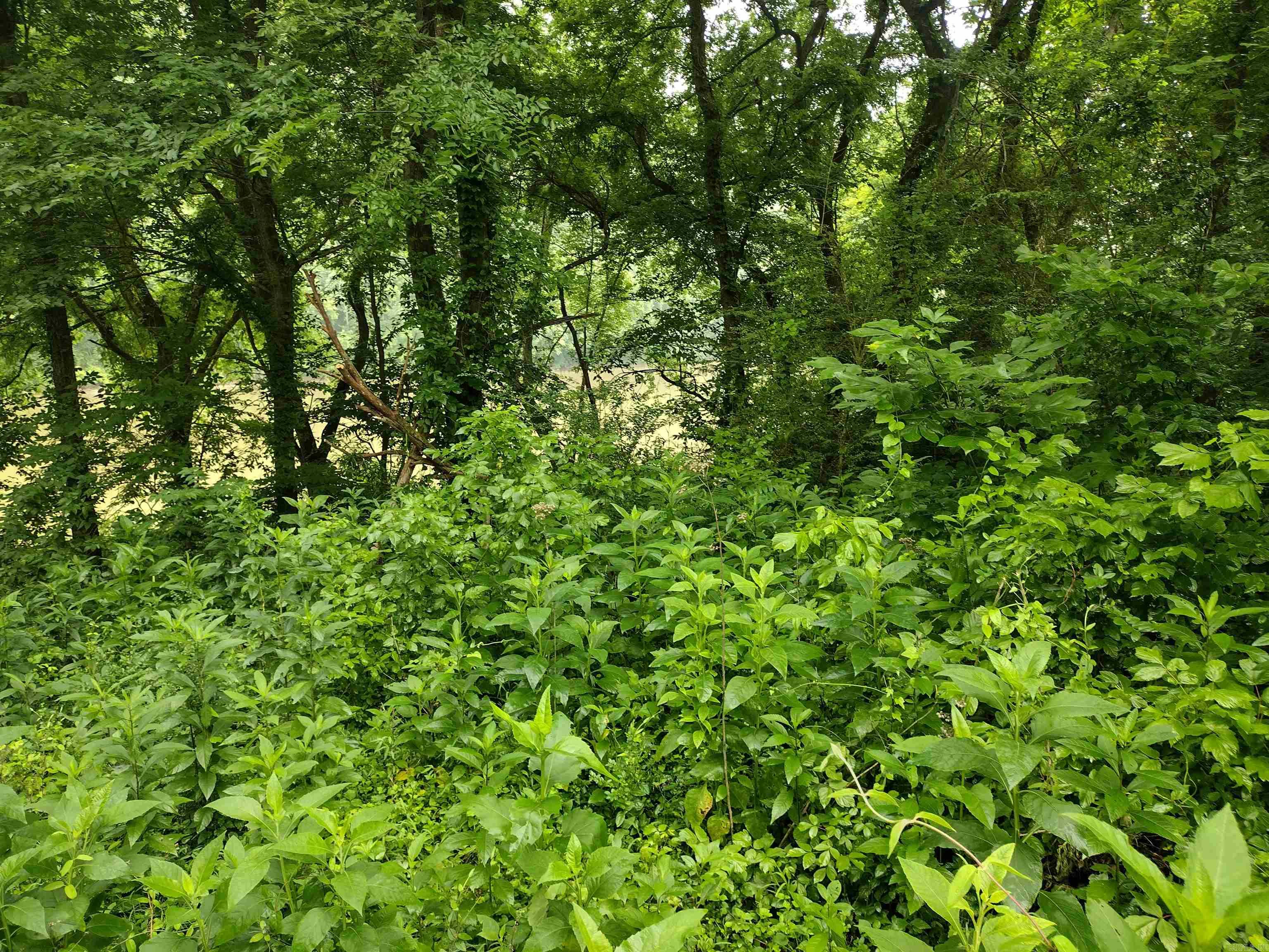 White River Estates - Land