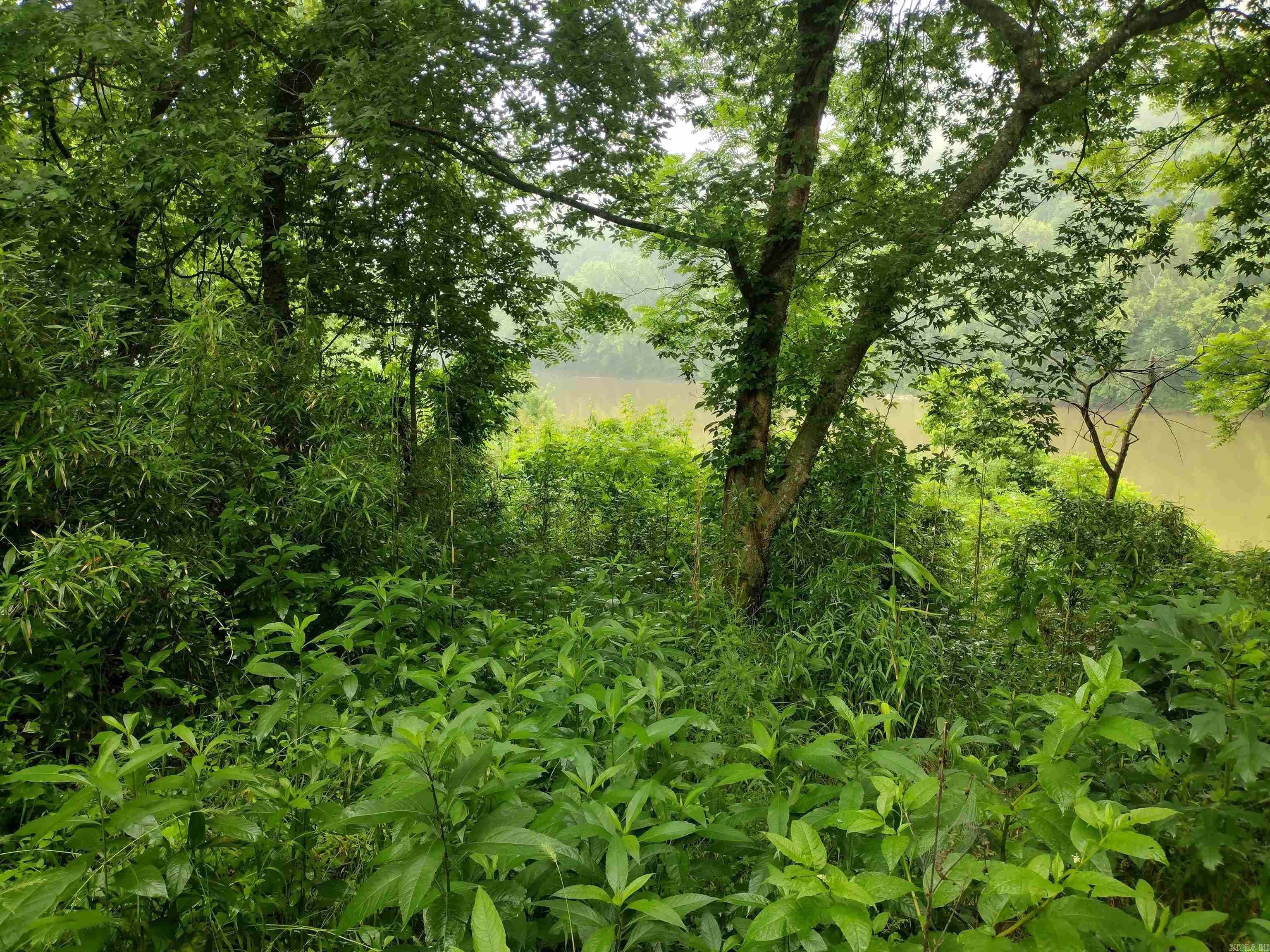 White River Estates - Land
